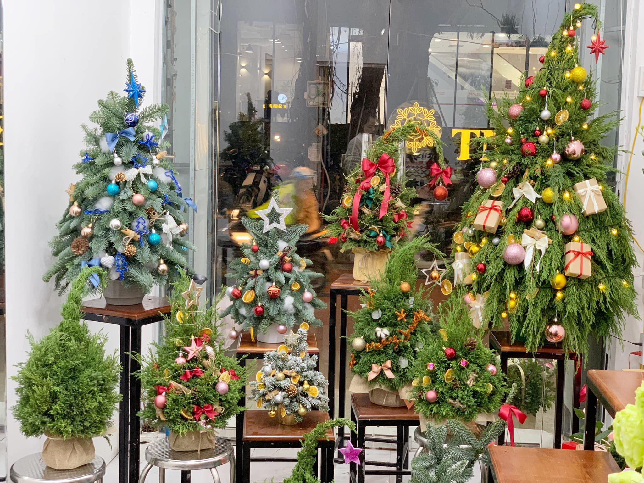 Thong tuoi mini gia re dip Noel dat khach hinh anh