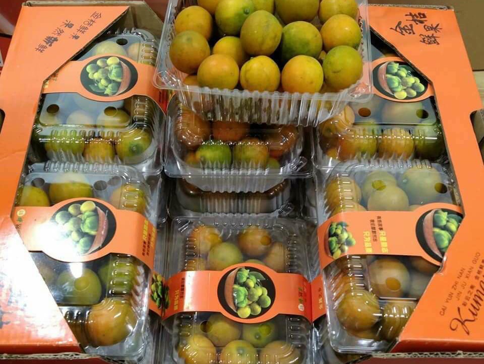 Quất Đài Loan không múi ồ ạt vào chợ Việt ảnh 2 Quat Dai Loan khong mui o at vao cho Viet anh 2