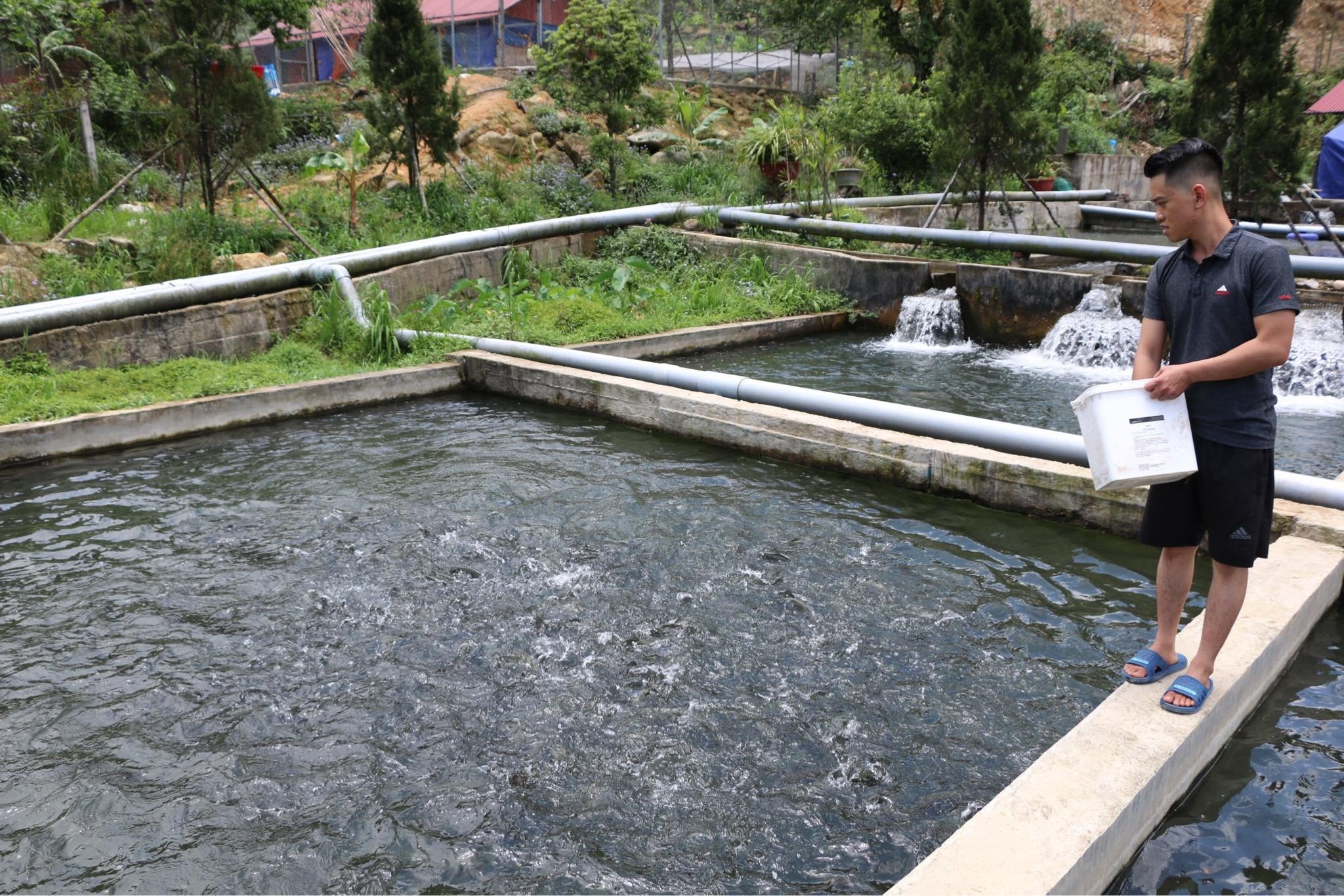 Ca hoi Sa Pa giam gia sau anh 2