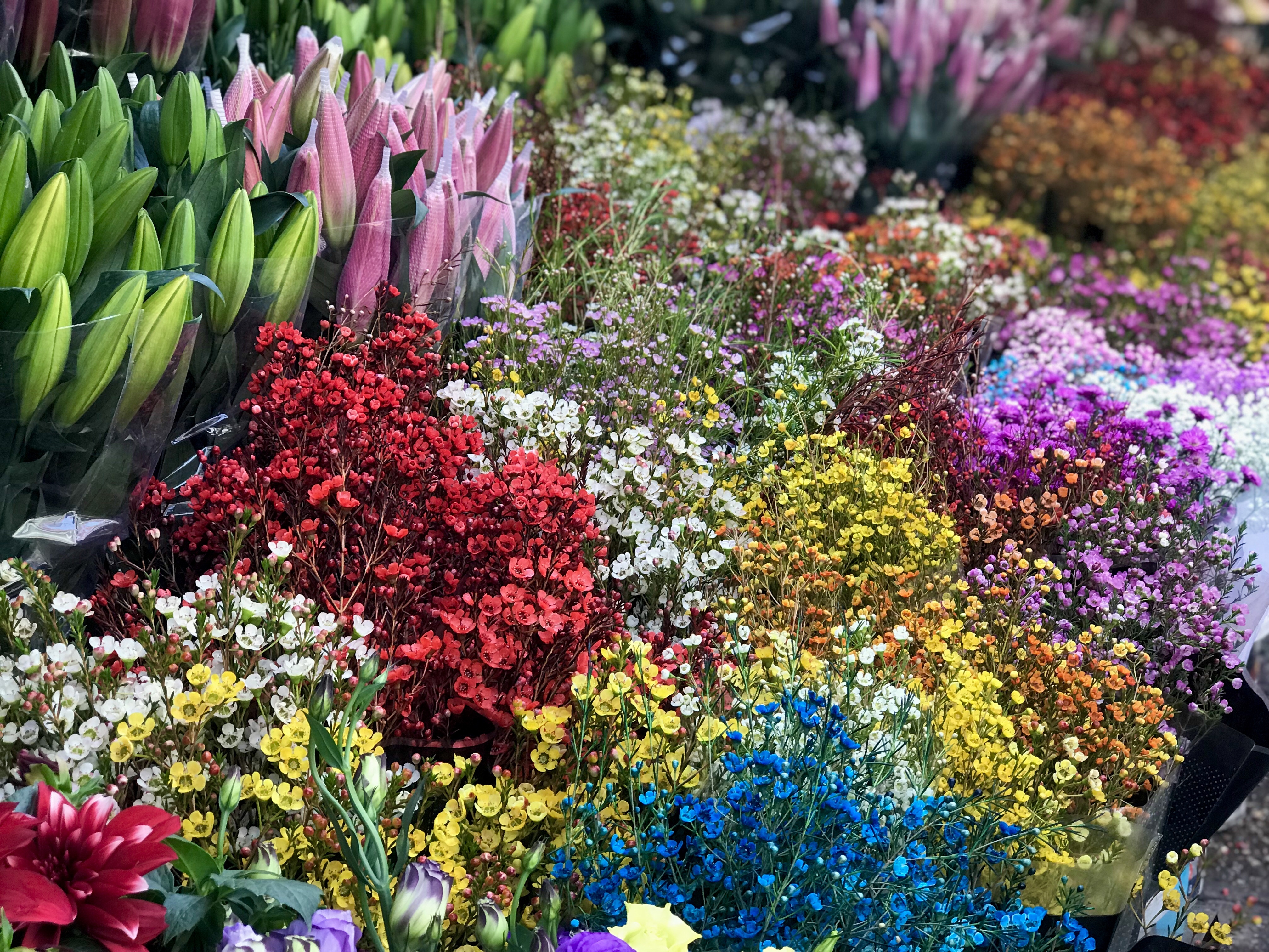 Hoa tuoi Viet Nam canh tranh hoa Trung Quoc anh 2