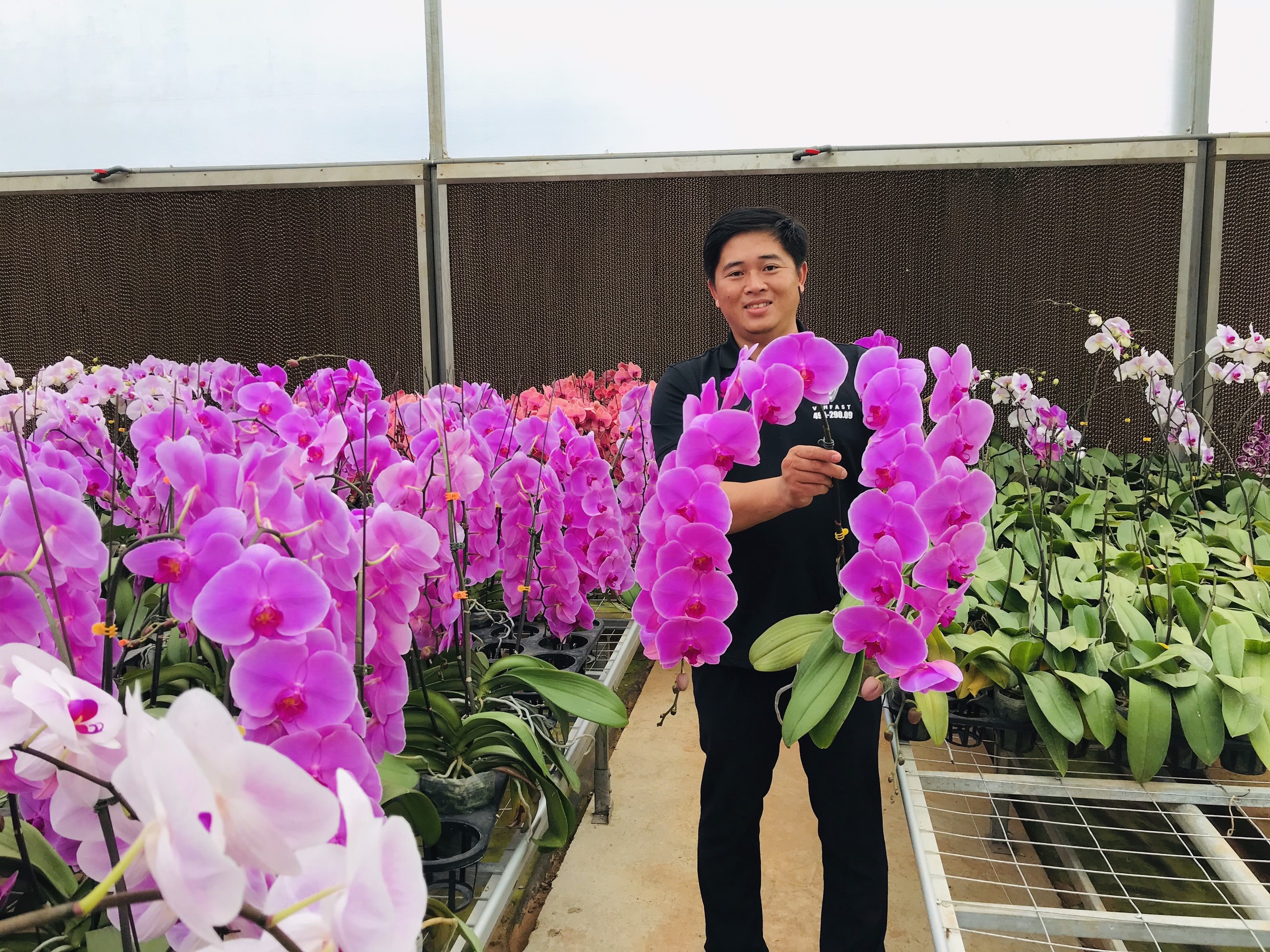 Hoa tuoi Viet Nam canh tranh hoa Trung Quoc anh 4