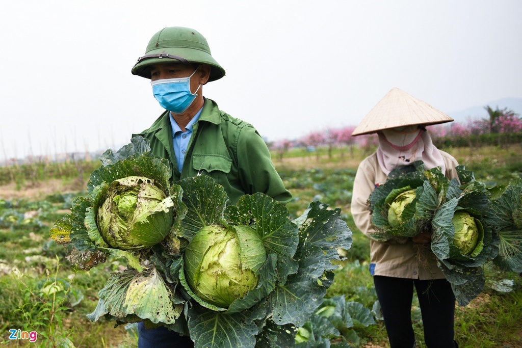 Bộ Công Thương gỡ khó lưu thông hàng hoá cho Hải Dương ảnh 1 Bo Cong Thuong go kho luu thong hang hoa cho Hai Duong anh 1