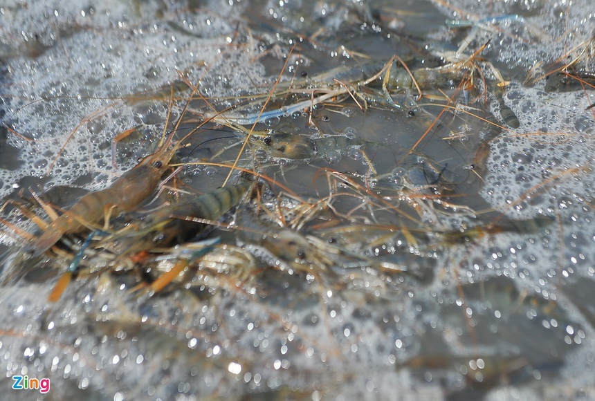 nhieu mat hang xuat khau sang Australia tang dot bien anh 1