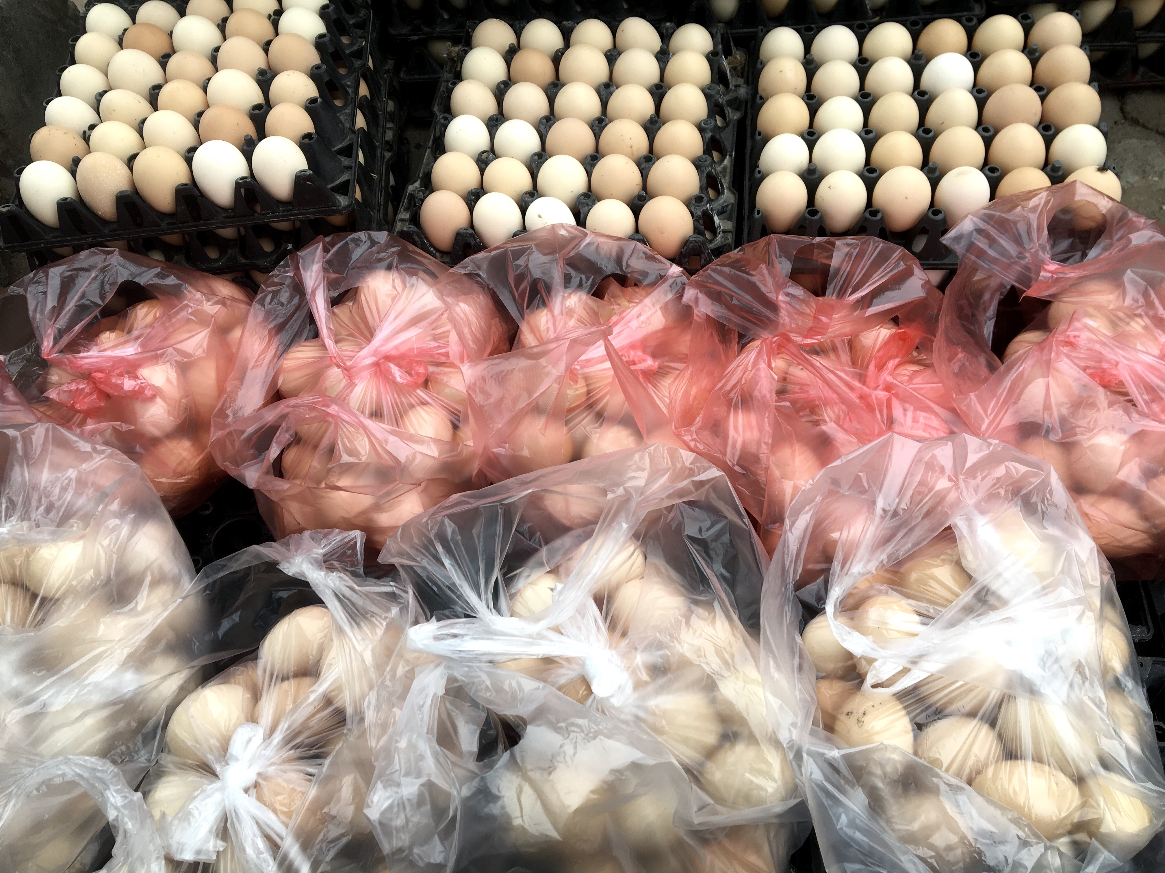 Gia trung ga thap ky luc anh 1