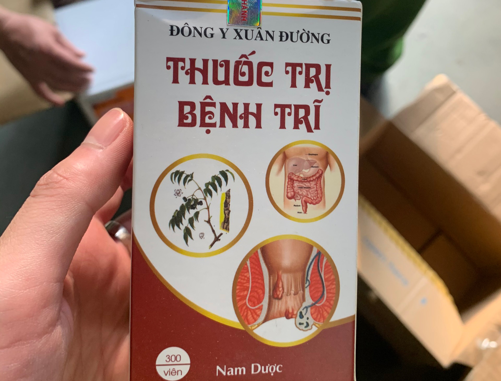 tran lan luong y,  than y tren mang anh 2