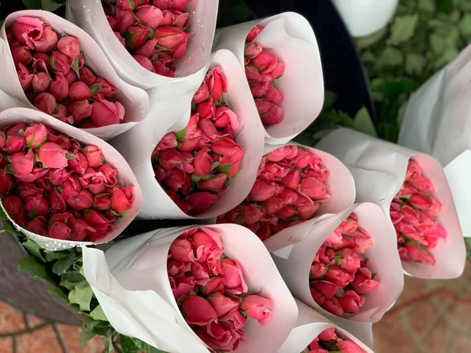 Hoa hong giam gia sau, con 800 dong/bong hinh anh