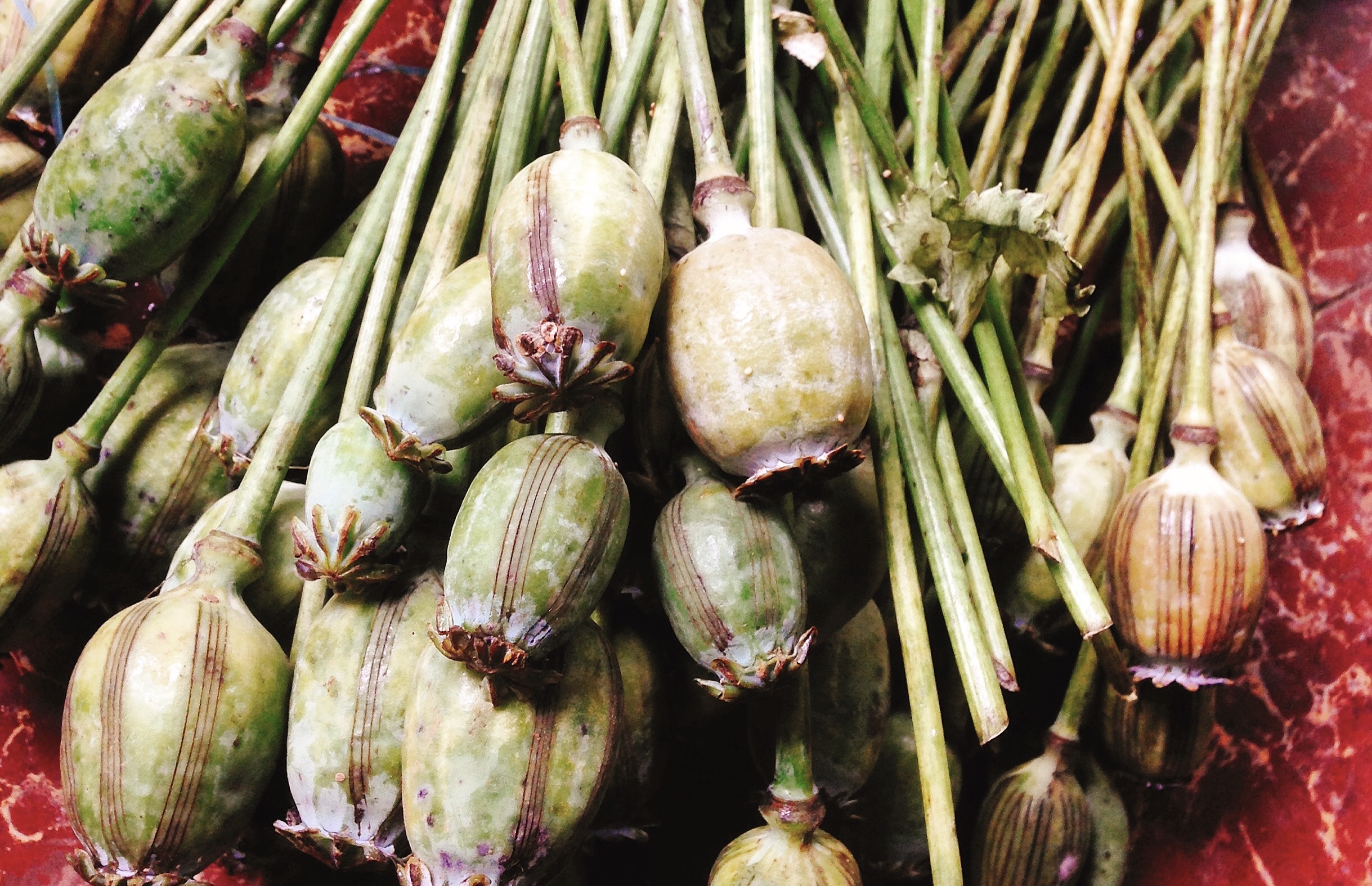 ban cay anh tuc anh 2