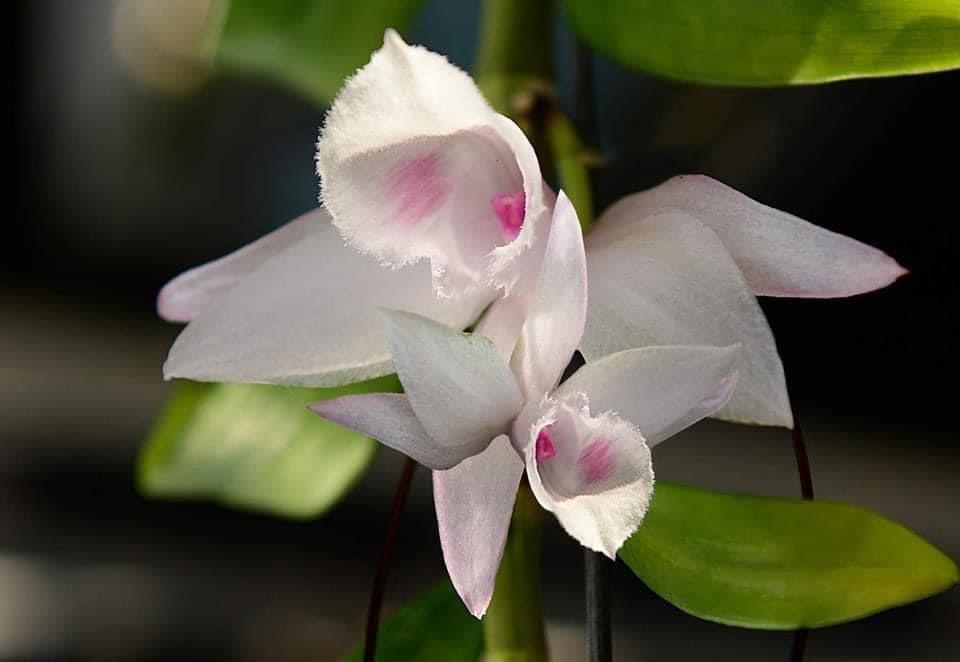 Tai sao nhieu nguoi de 'mac bay' khi dau tu lan dot bien? hinh anh