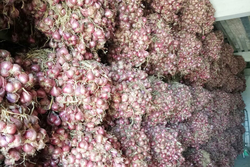 Gan 50 tan hanh tim da duoc giai cuu anh 1