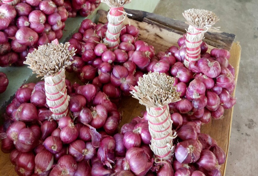 Gan 50 tan hanh tim Soc Trang duoc 'giai cuu' hinh anh