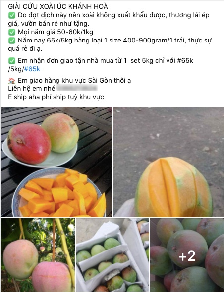 trai cay rot gia manh anh 2