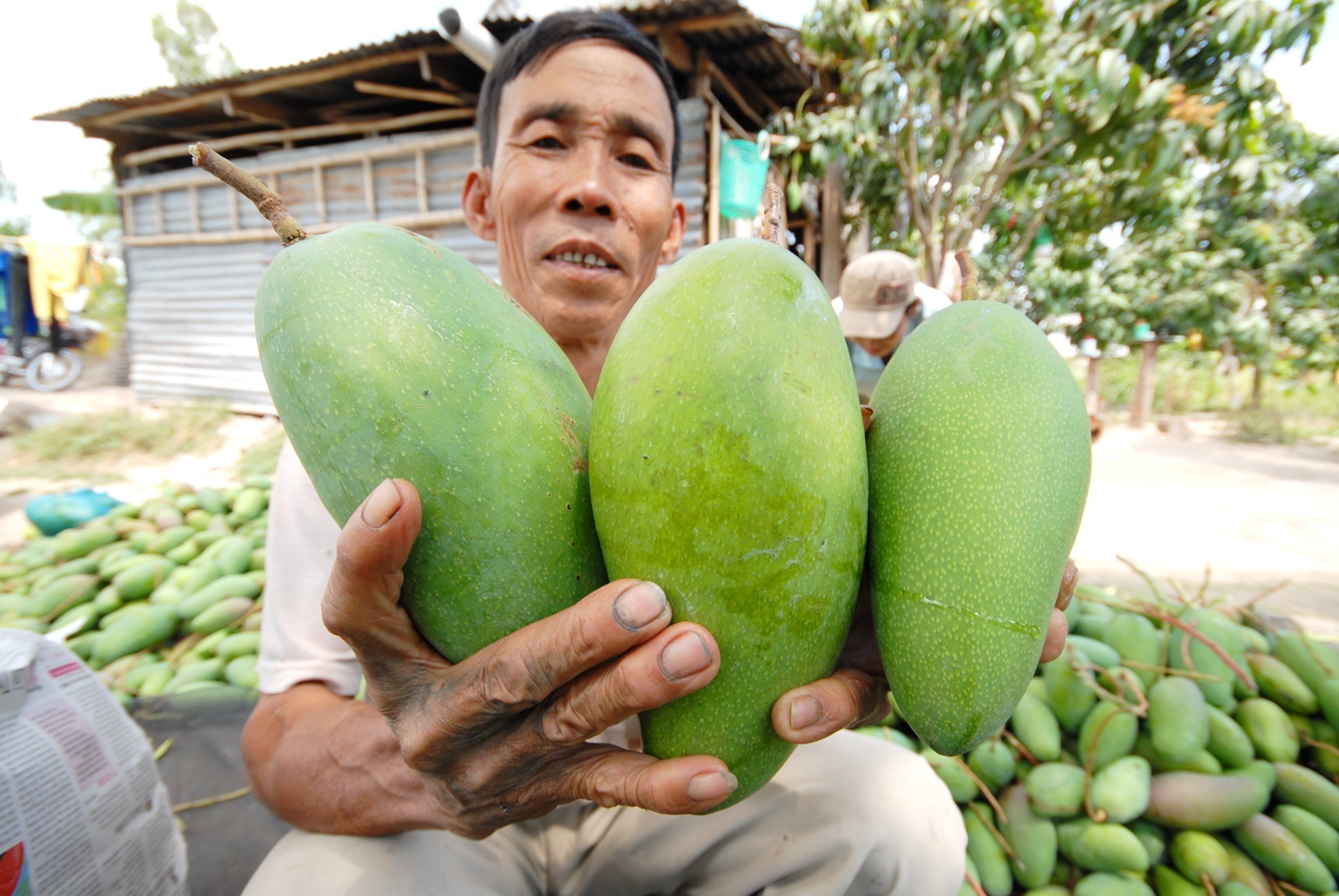 Trai cay dong loat rot gia manh hinh anh