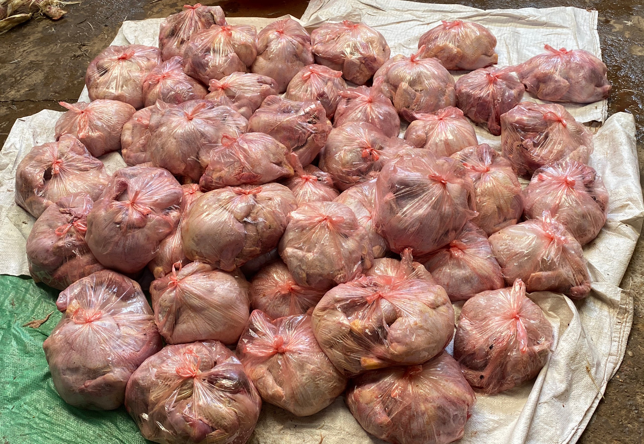 Phat hien hon 3 tan thit ga hoi thoi suyt ban ra thi truong hinh anh