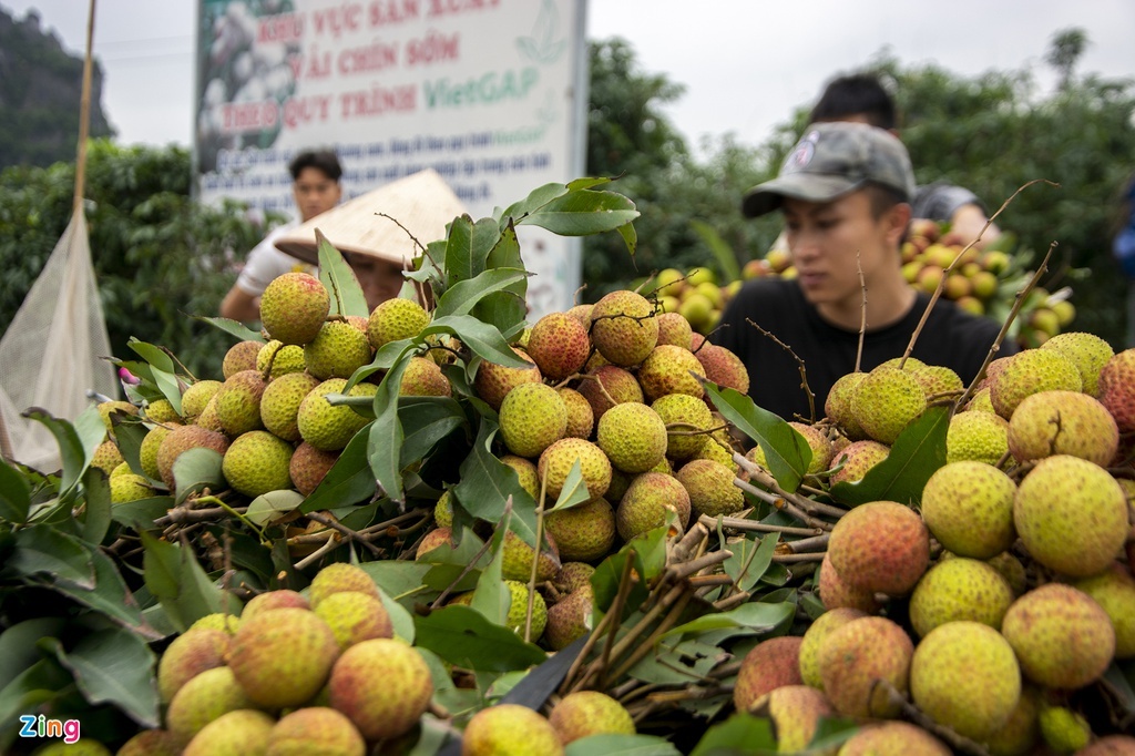 vai thieu bi ep gia con 2.000 dong/kg anh 1