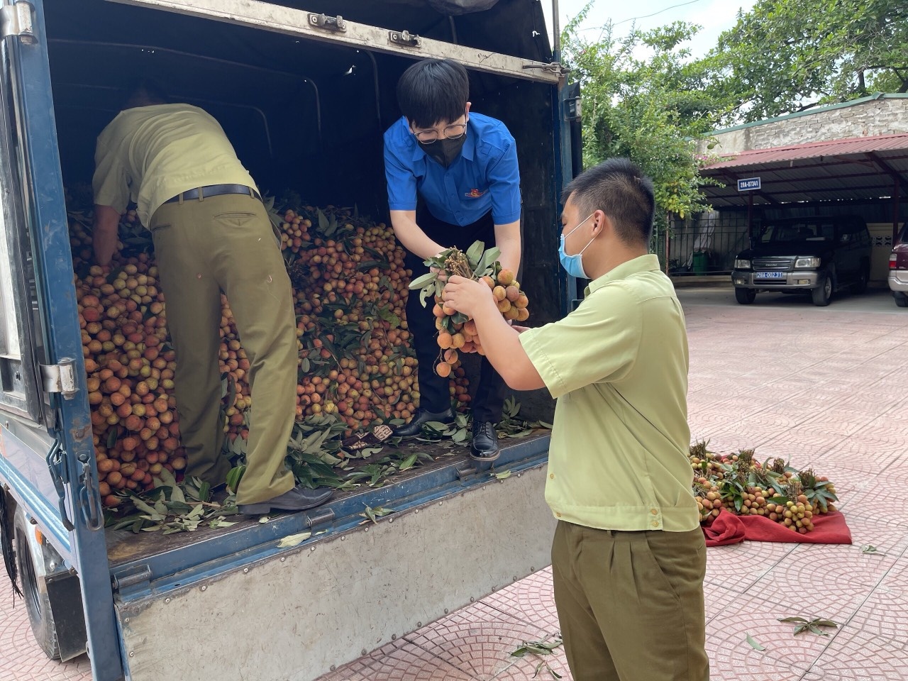 Quan ly thi truong vao cuoc 'giai cuu' vai thieu hinh anh
