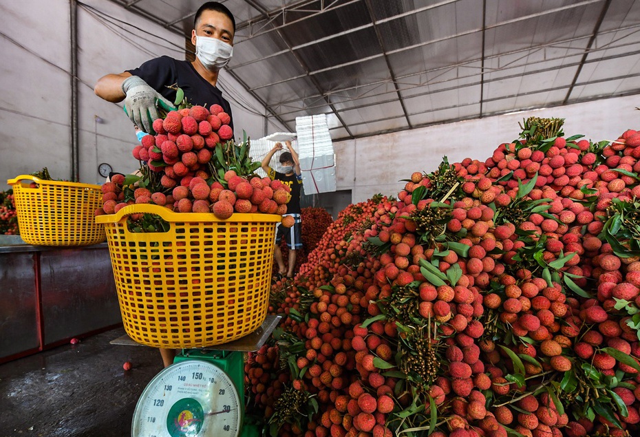 Trung Quoc cam ket tao thuan loi nhap khau vai thieu Bac Giang hinh anh