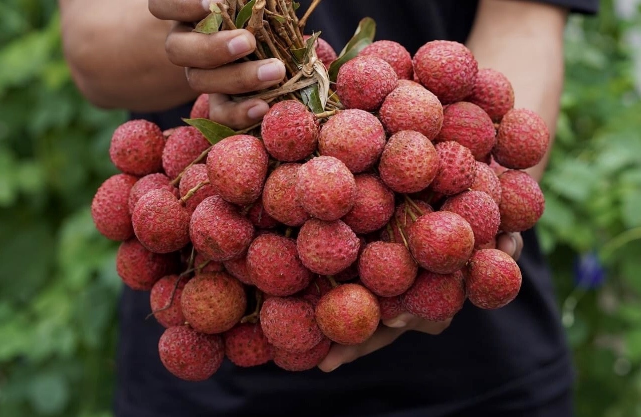 Vai thieu vao mua, gia ban tai TP.HCM van toi 60.000 dong/kg hinh anh