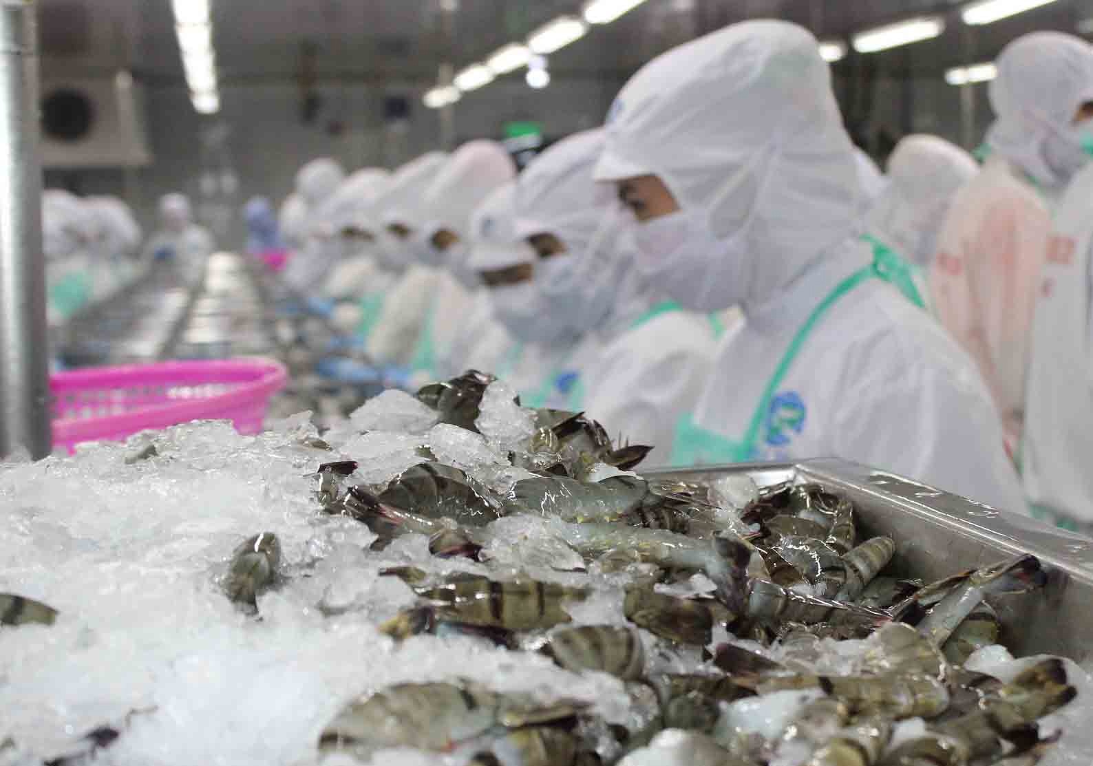 Trung Quốc tạm ngưng nhập khẩu thuỷ sản ảnh 1 Trung Quoc tam ngung nhap khau thuy san anh 1