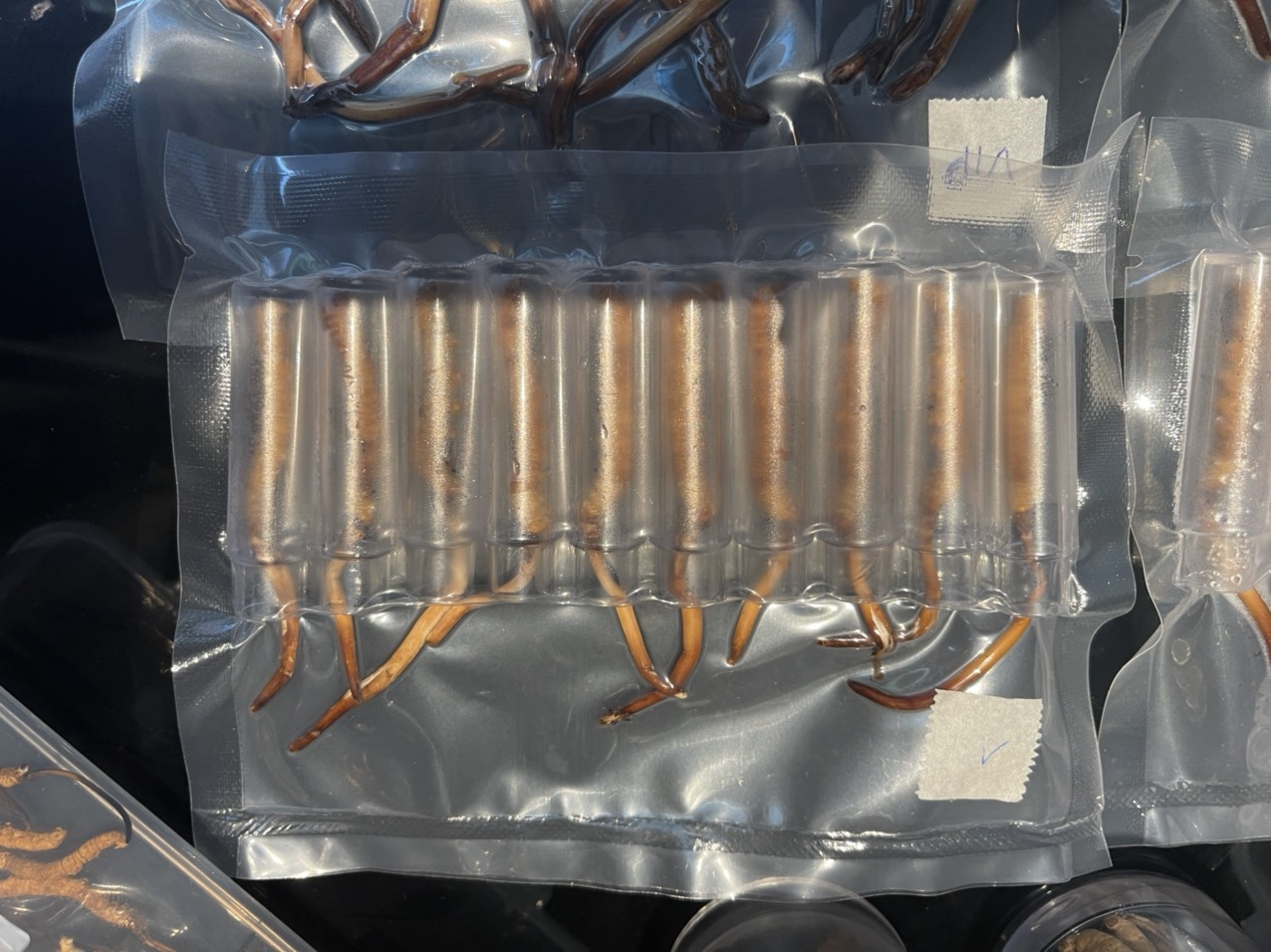 dược liệu không rõ nguồn gốc ảnh 1 duoc lieu khong ro nguon goc anh 1