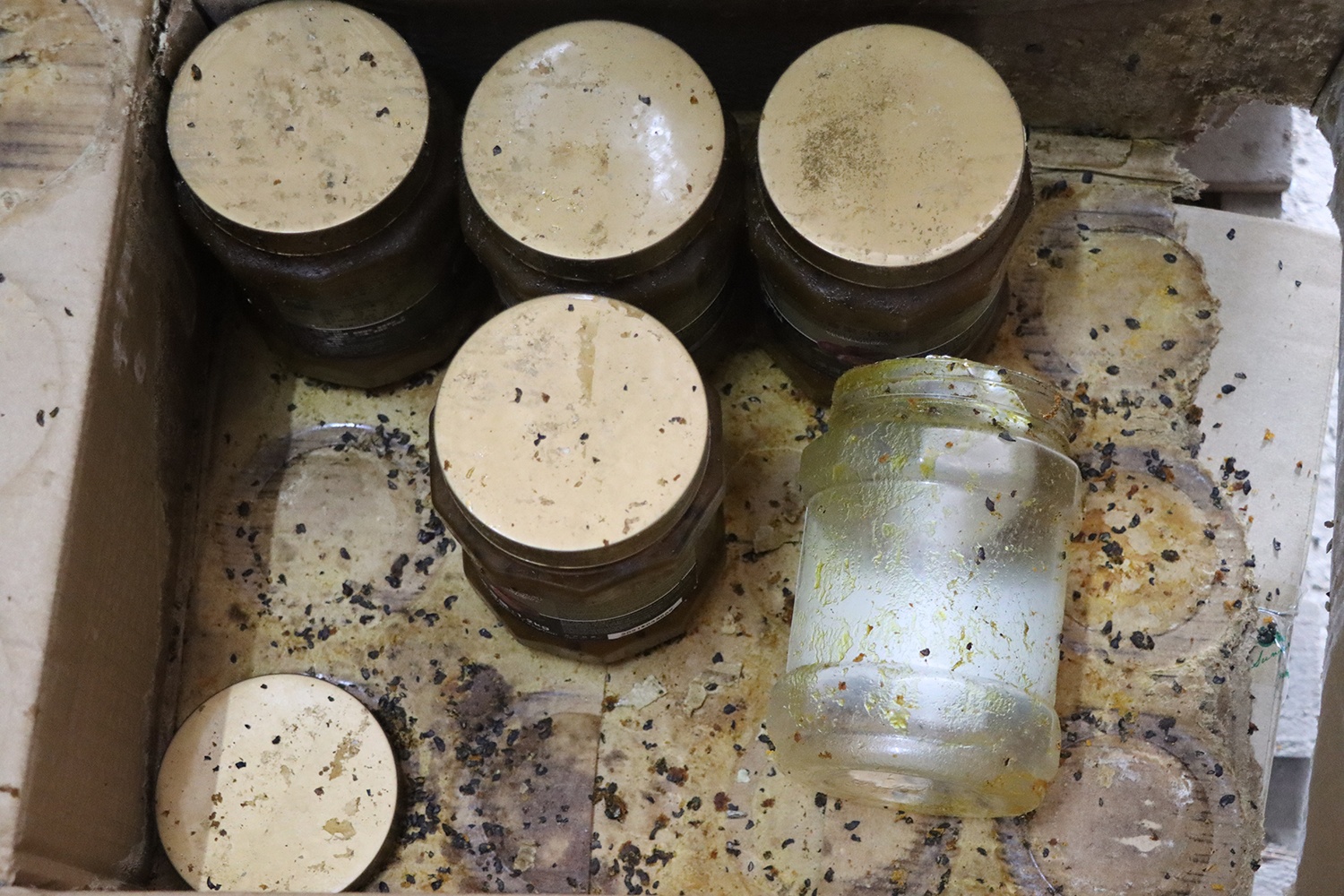 Phat hien kho nguyen lieu tra sua Gongcha,  Royaltea anh 1