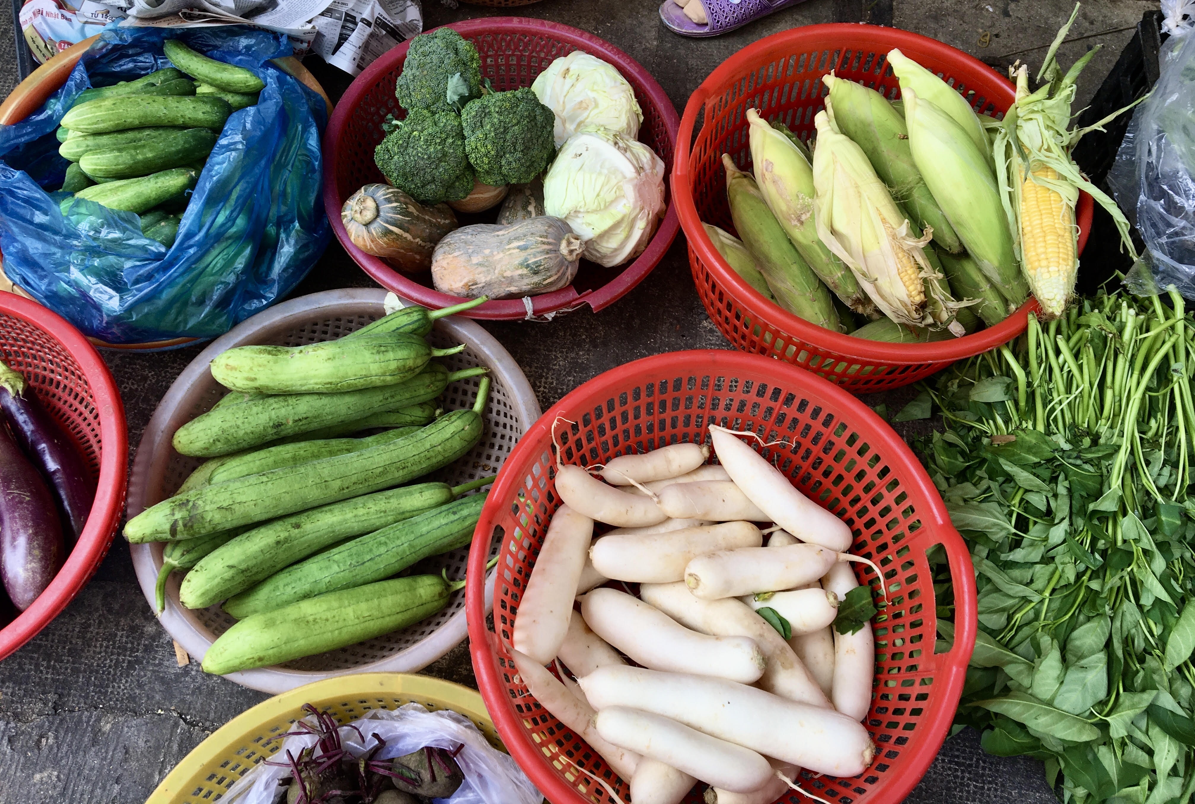 Cho,  sieu thi vang nguoi anh 3