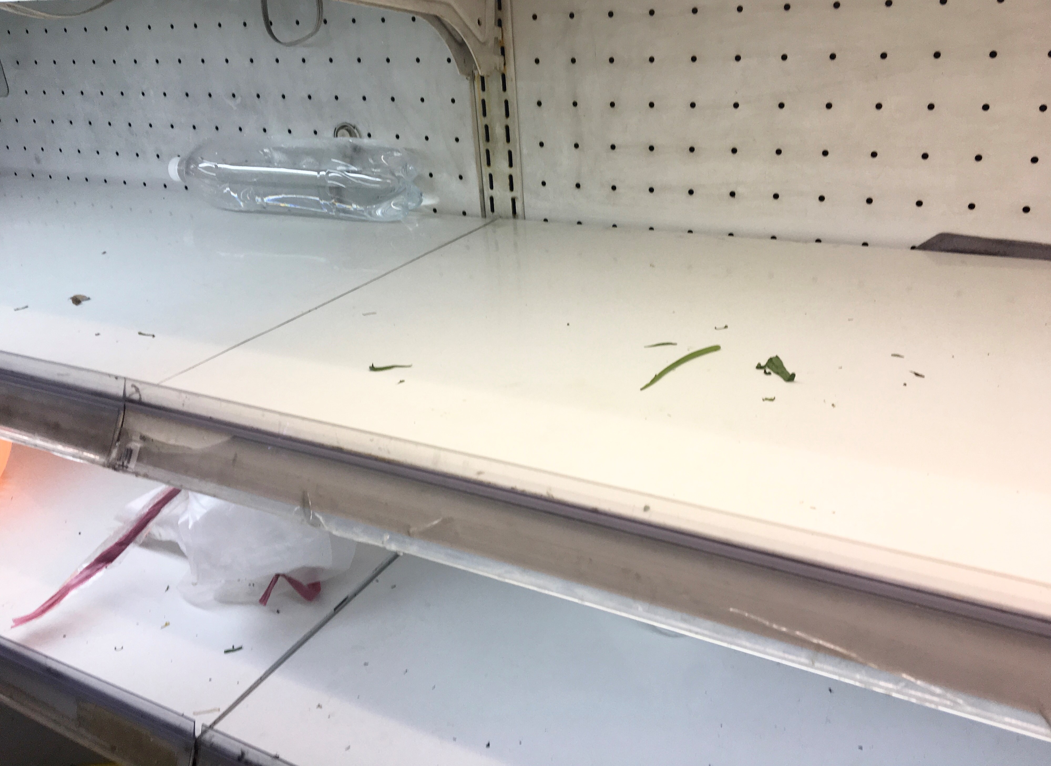 Nguoi dan TP.HCM van kho mua rau,  thit,  ca anh 1