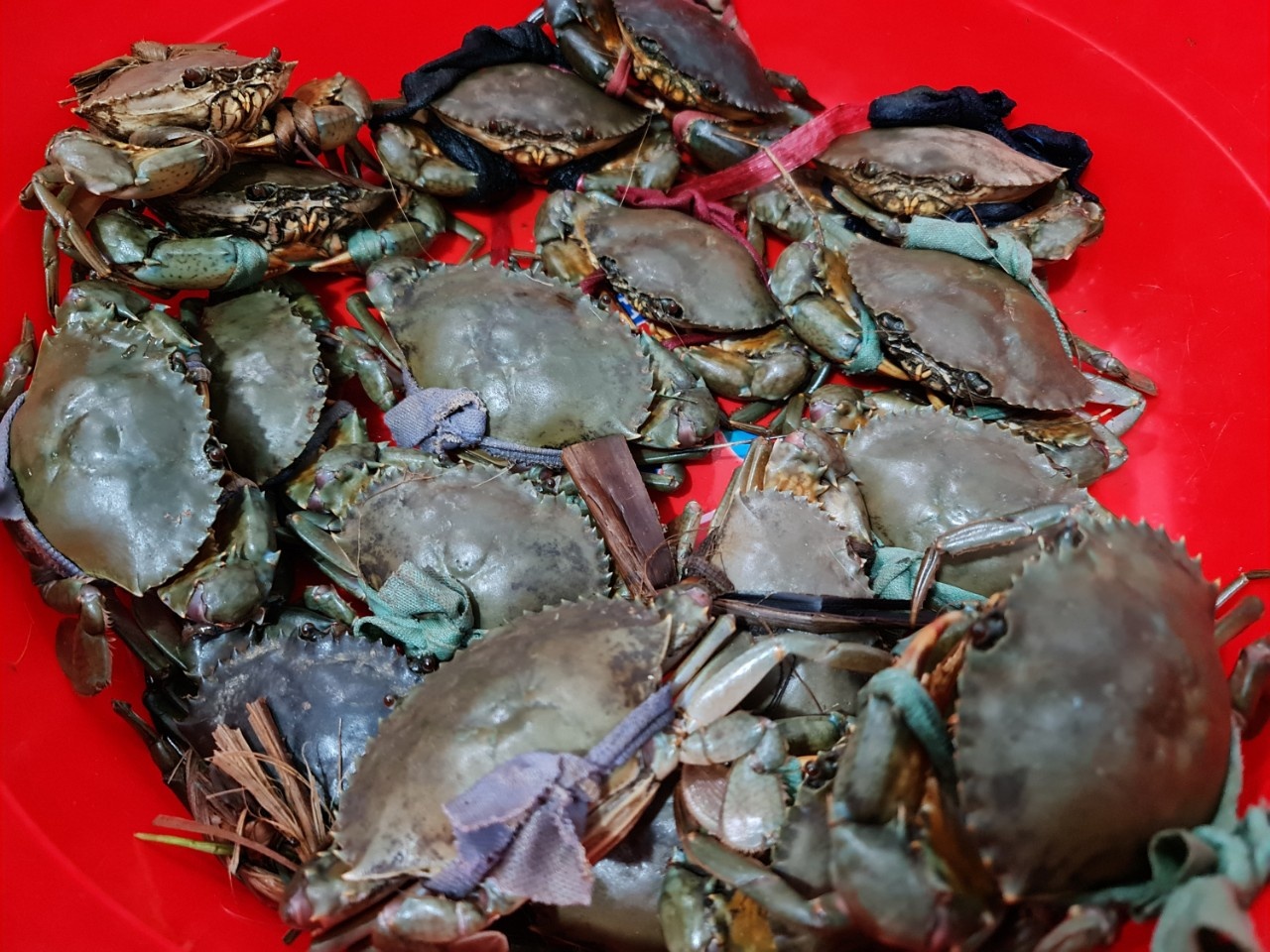 nong san cac tinh vao TP.HCM bi mac ket anh 5