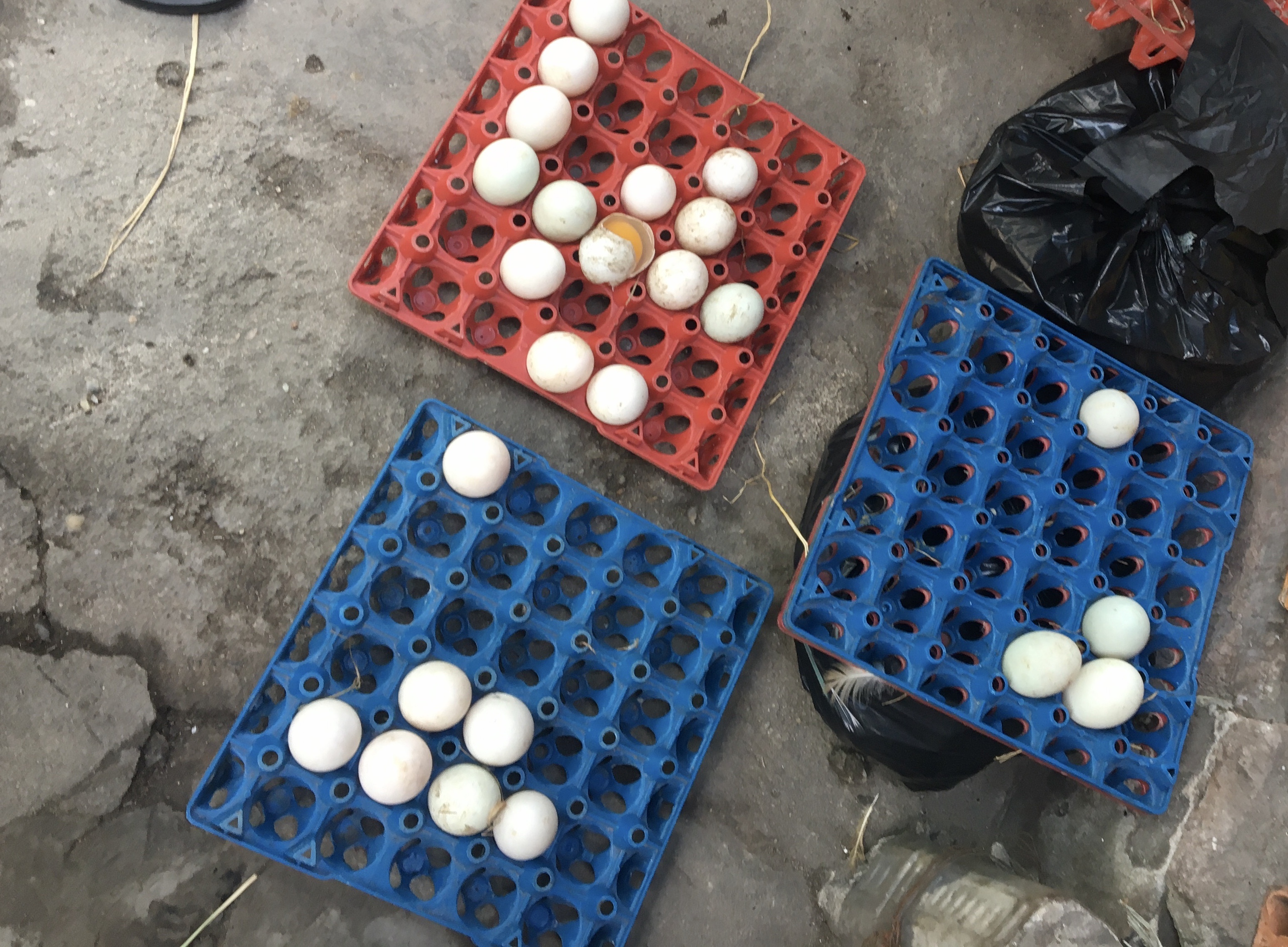 sieu thi bi gom hang ban ra ngoai anh 2