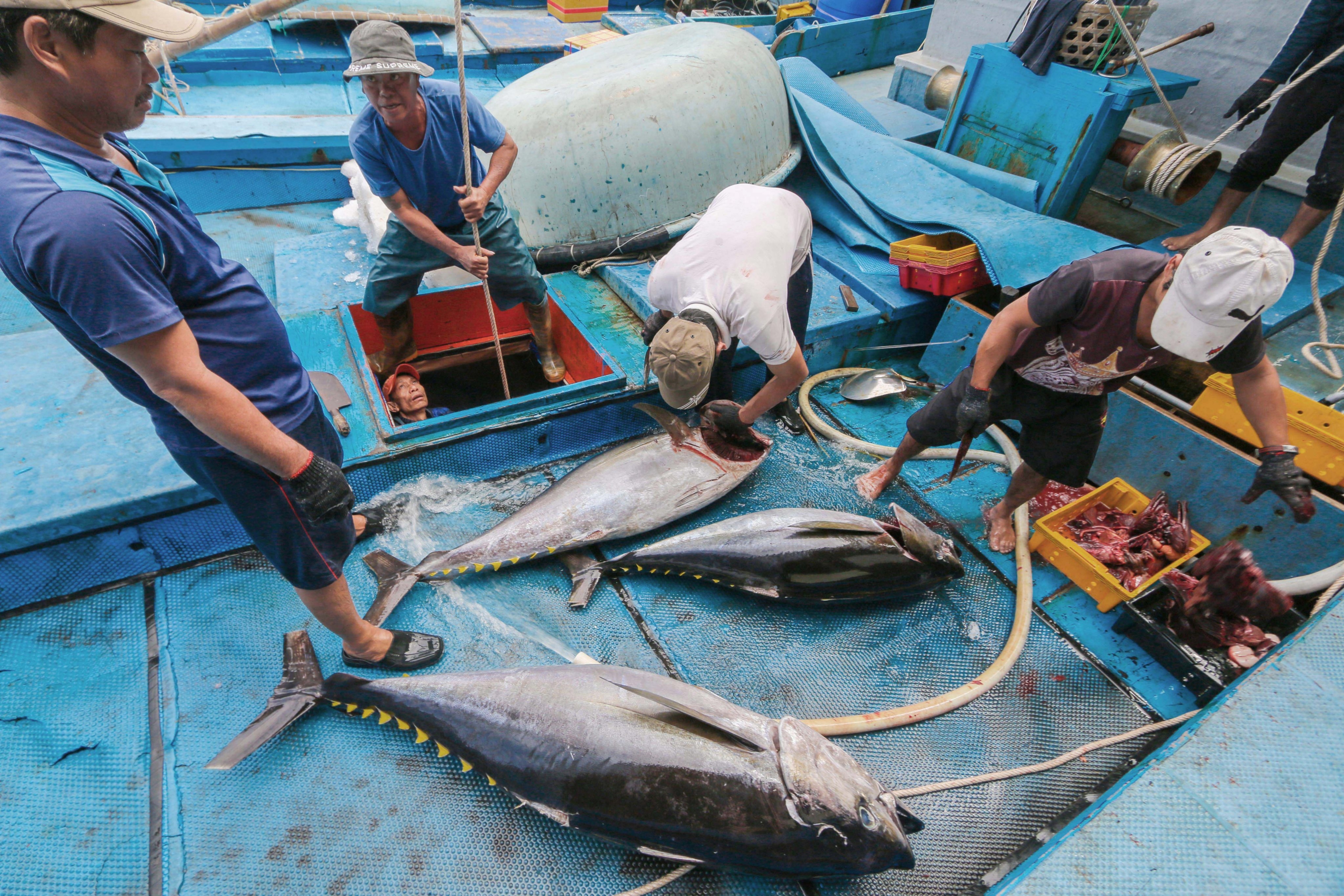 nong san cac tinh vao TP.HCM bi mac ket anh 3