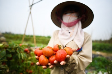 Rau cu, thit ca kho tim duong vao TP.HCM hinh anh