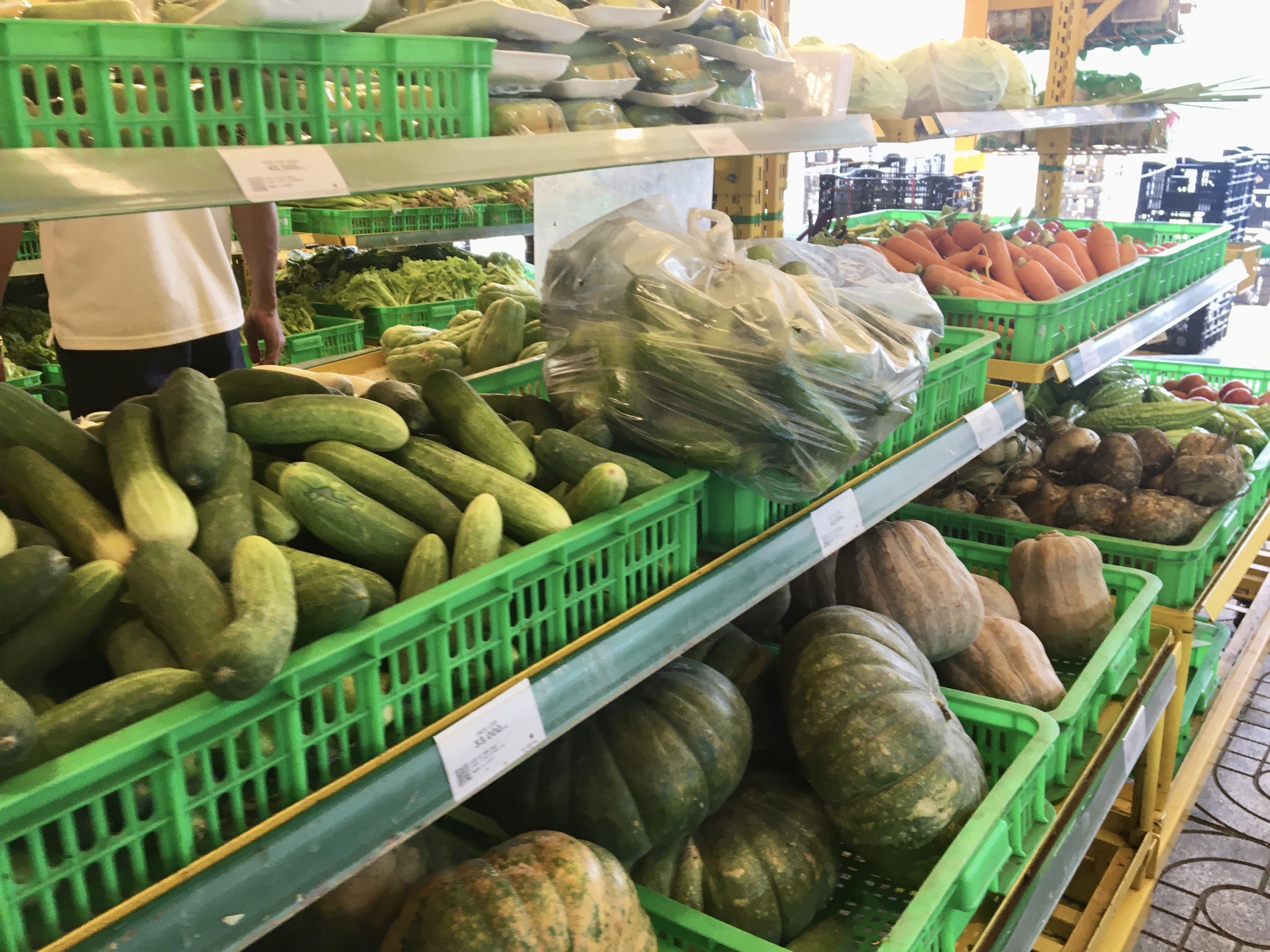 gia rau cu ha nhiet anh 2