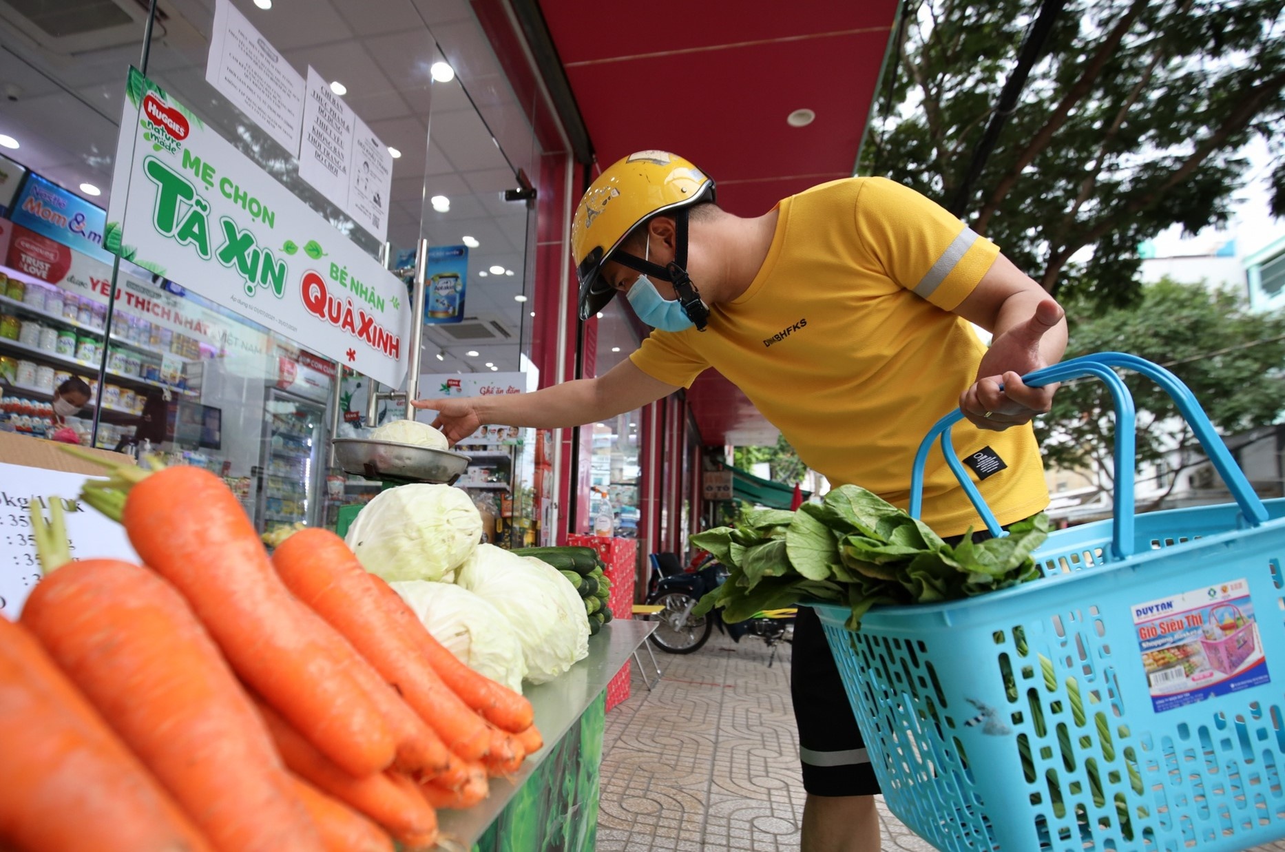 Chi con 32 cho, TP.HCM can giai phap gi? hinh anh