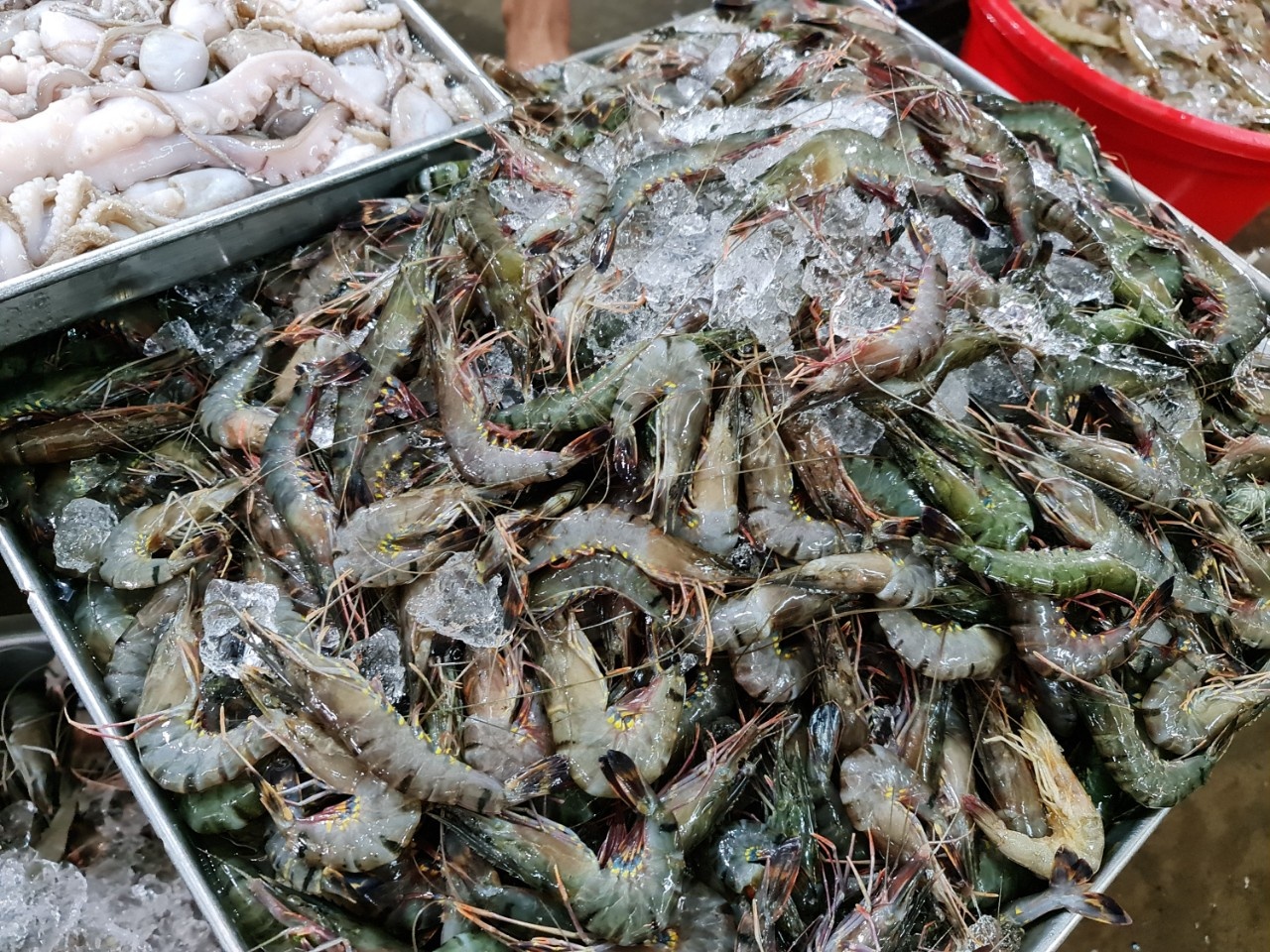 noi un u noi khan hiem thuy hai san anh 6