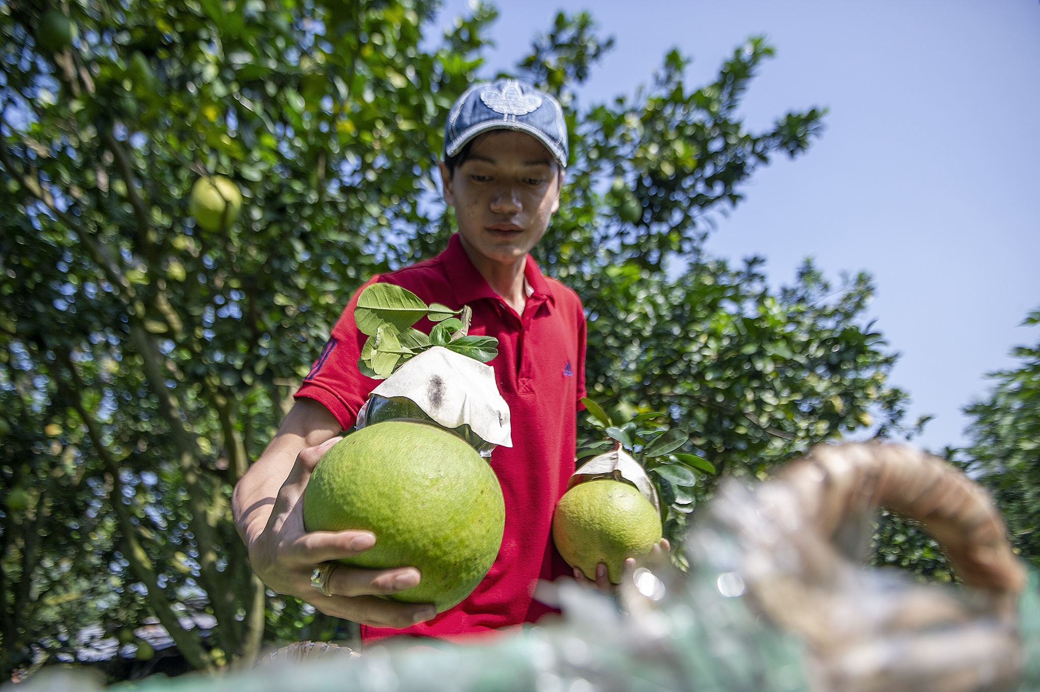 Hang trieu tan nong san cac tinh Nam Bo, Tay Nguyen can duoc tieu thu hinh anh