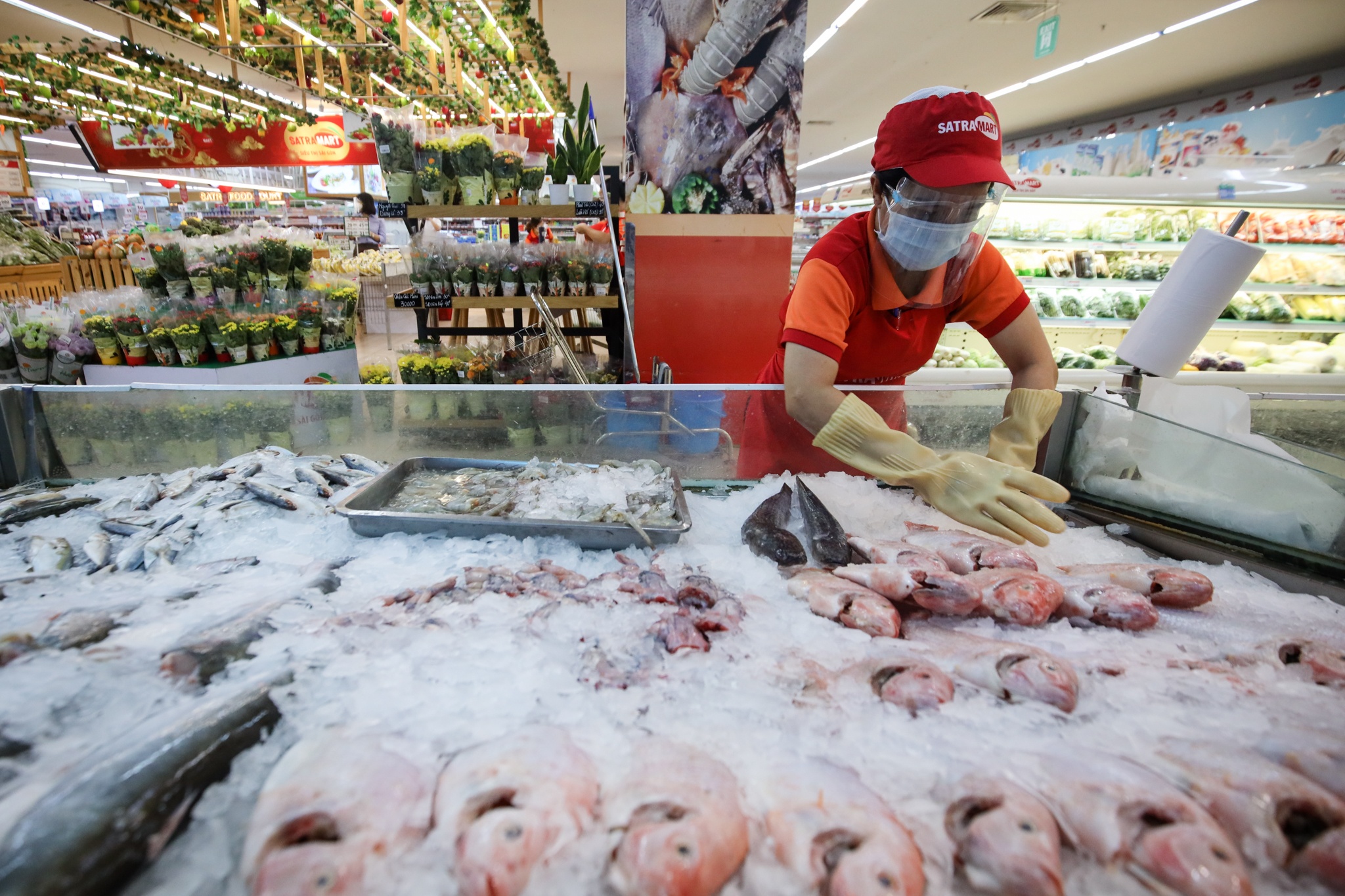 cho huong dan di cho vung xanh anh 1