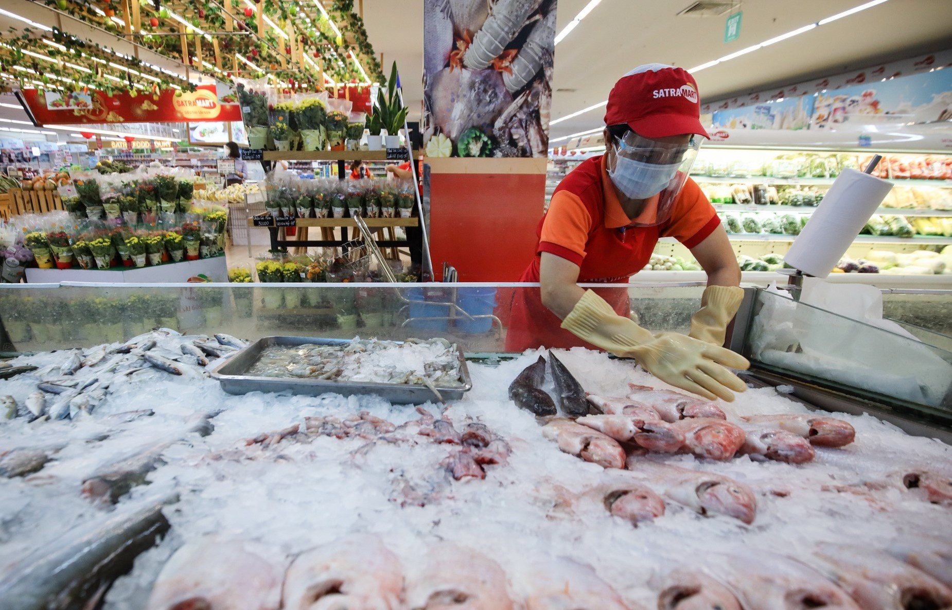 Lotte Mart, Go!, Bach Hoa Xanh quan 7 thong bao don khach tro lai hinh anh