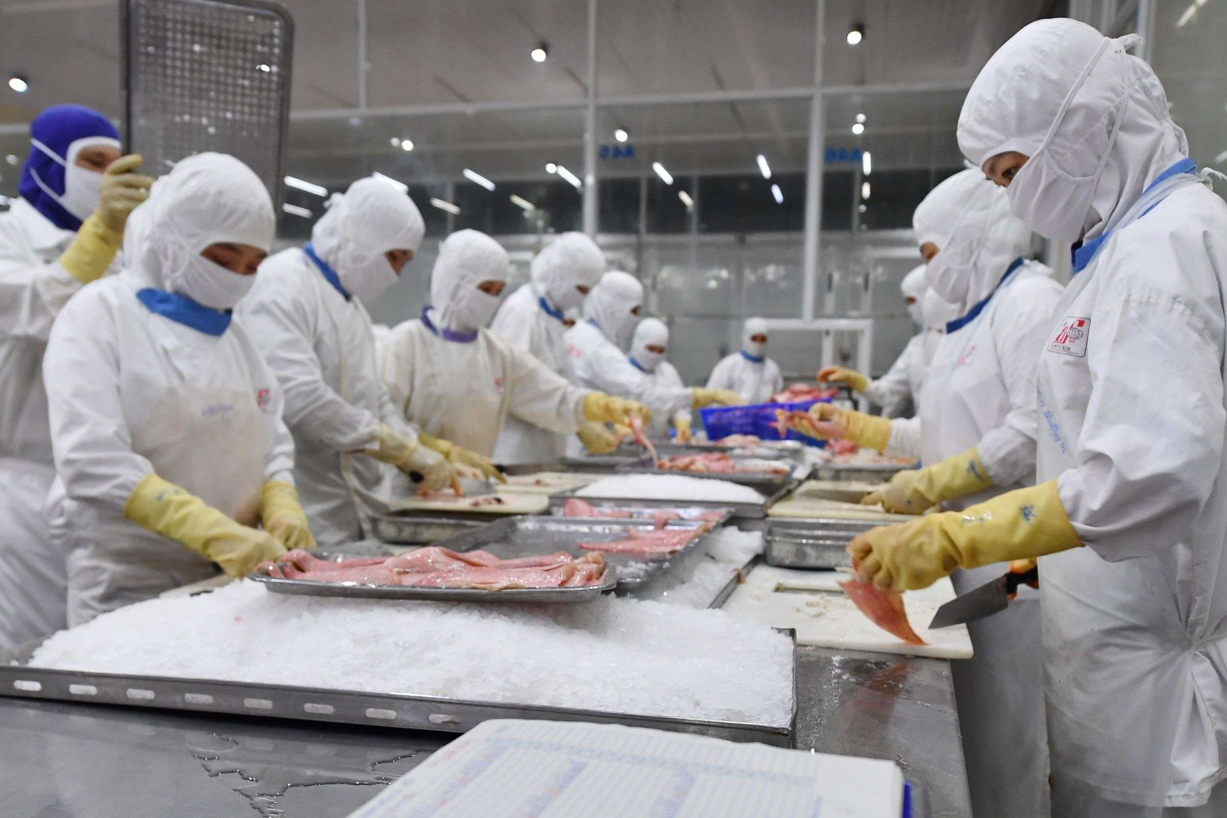 19 doanh nghiep Tien Giang cau cuu Thu tuong hinh anh