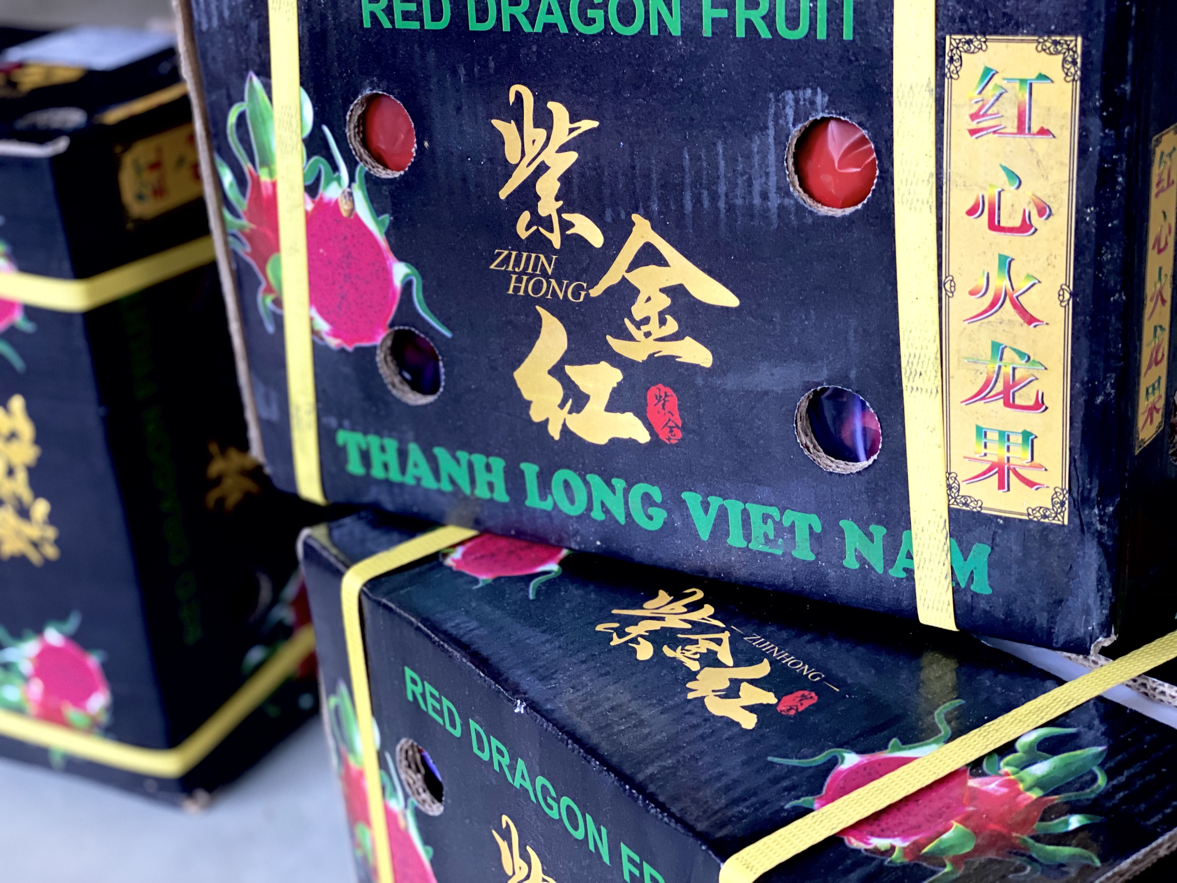 thanh long ruot do ban giai cuu anh 1