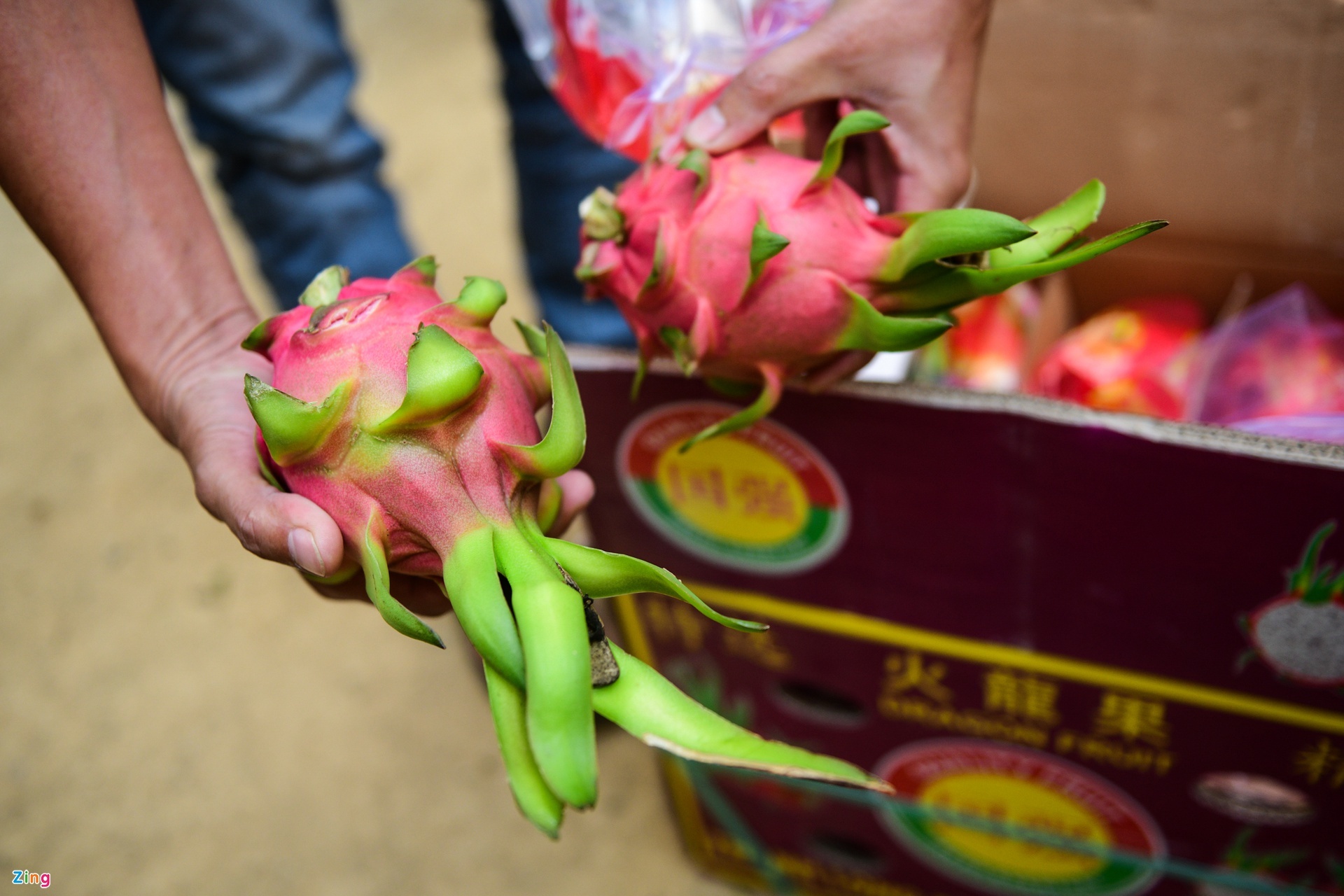 giải cứu nông sản ảnh 3 giai cuu nong san anh 3