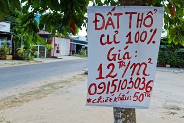 Ong Tran Hong Ha: Can co quy dinh chat che va che tai khi dau gia dat hinh anh