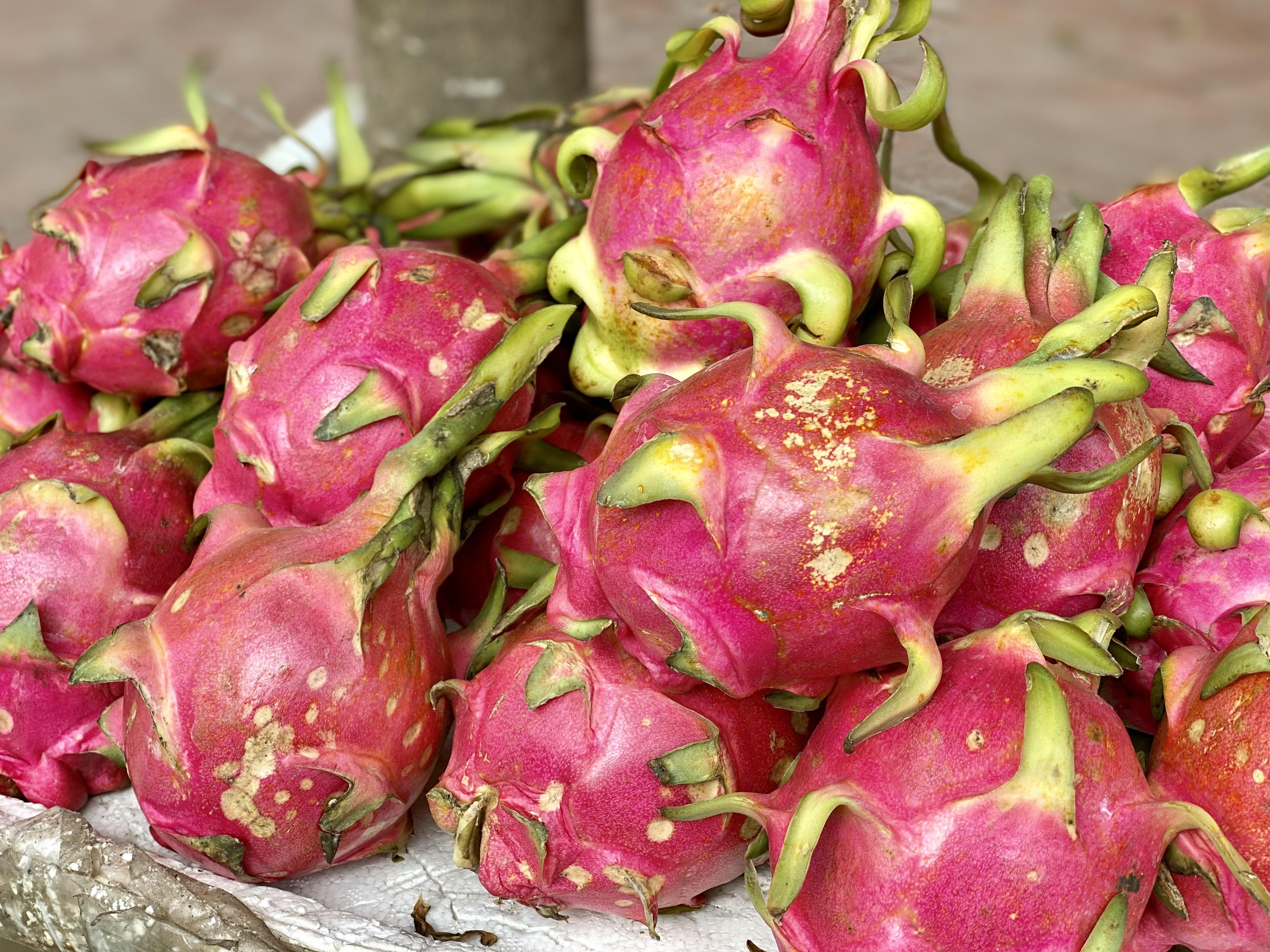 nghich ly gia thanh long anh 2