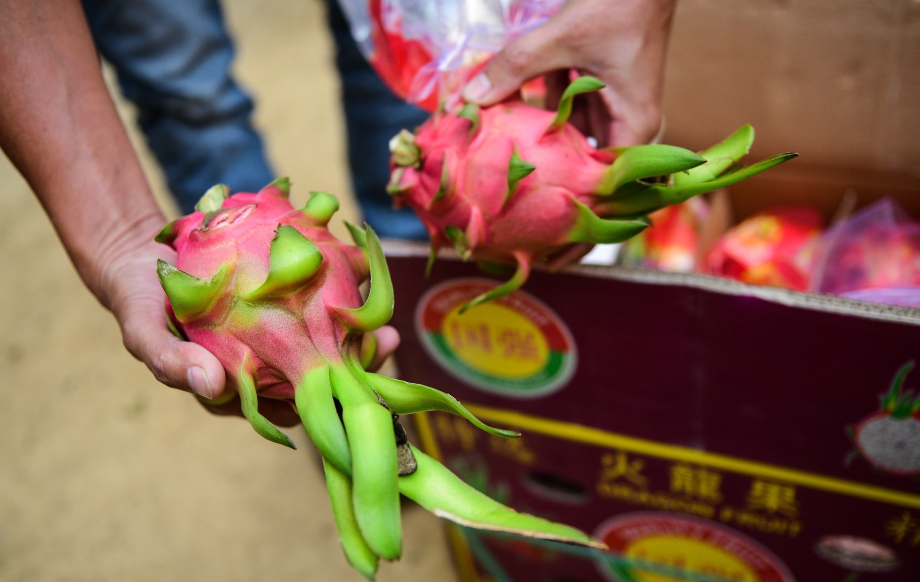 Trung Quoc yeu cau hang hoa Viet Nam xuat khau phai boc mang nylon hinh anh