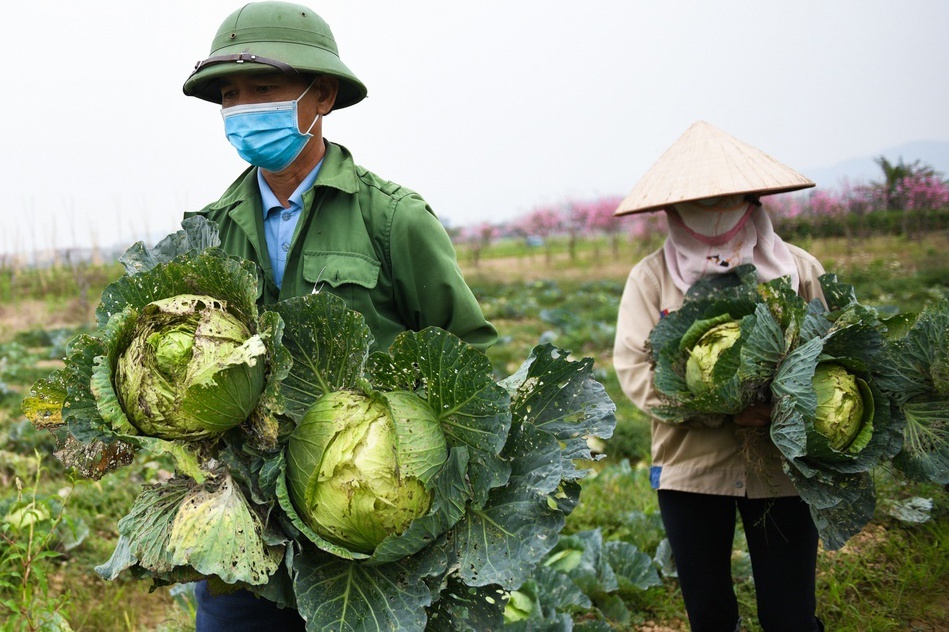 Hon 1.600 cau hoi cua nong dan gui Thu tuong tai doi thoai lan 4 hinh anh
