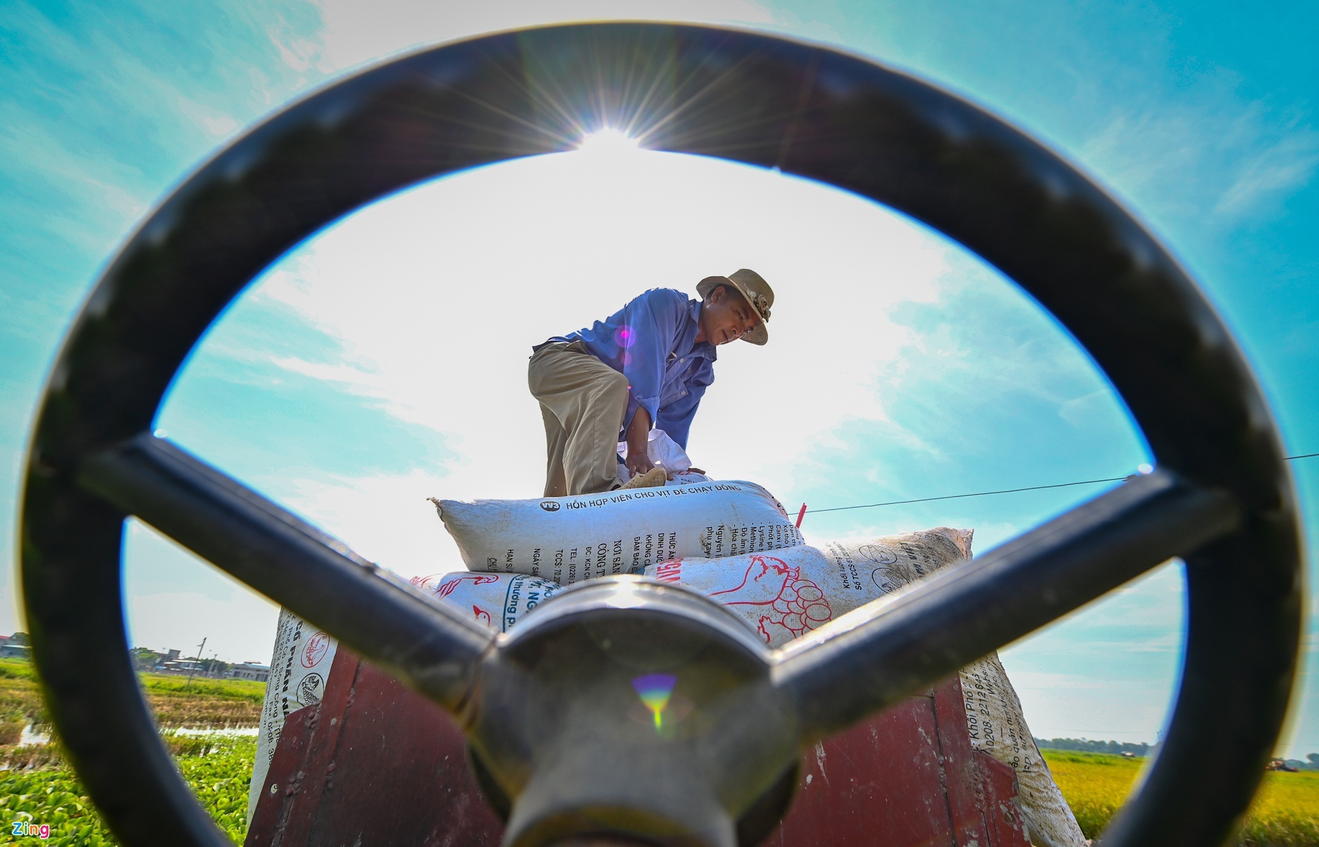 gia vat tu nong nghiep tang cao anh 1