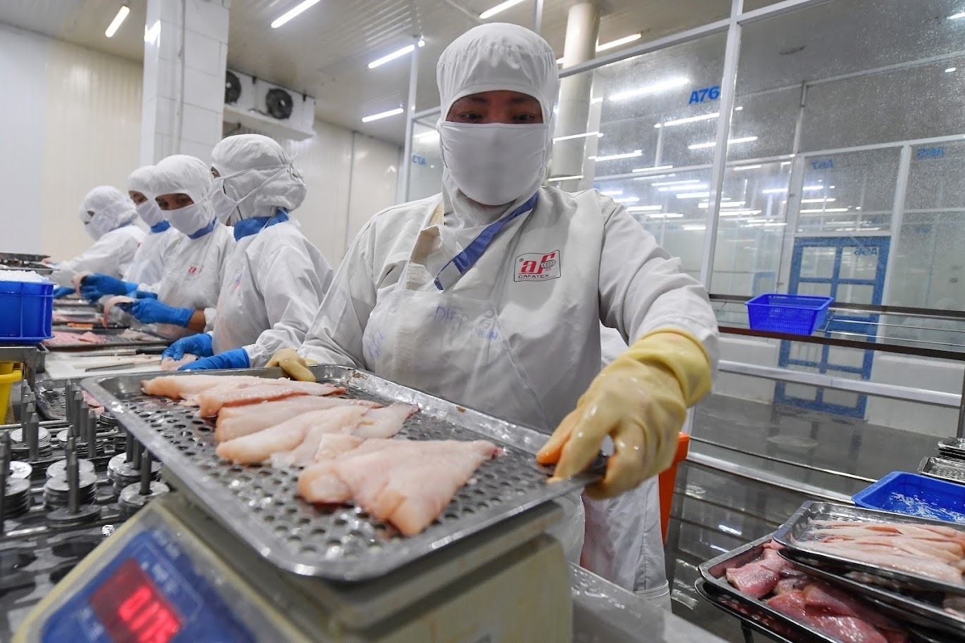 Mat hon 400 trieu dong phi van chuyen de xuat mot container sang My hinh anh