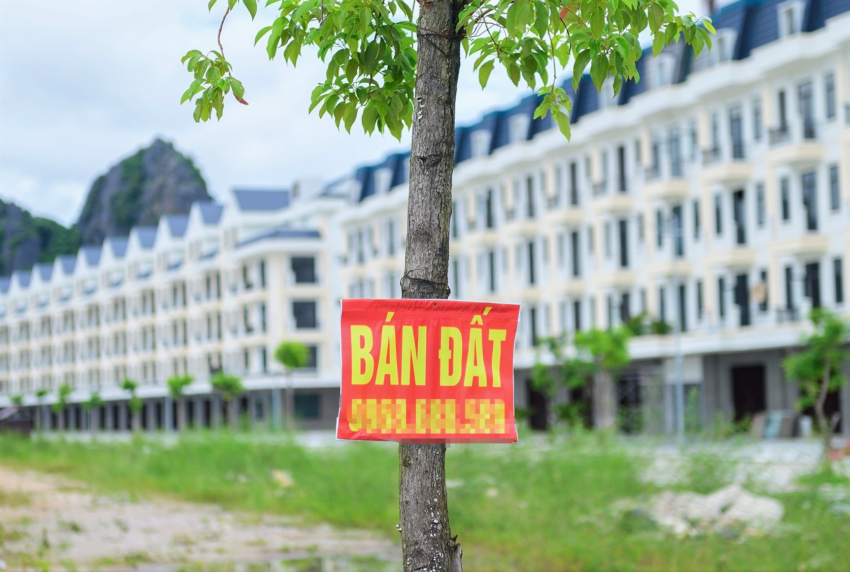 Bo truong TN&MT: Nguoi su dung dat vuot han muc se bi tinh thue cao hinh anh