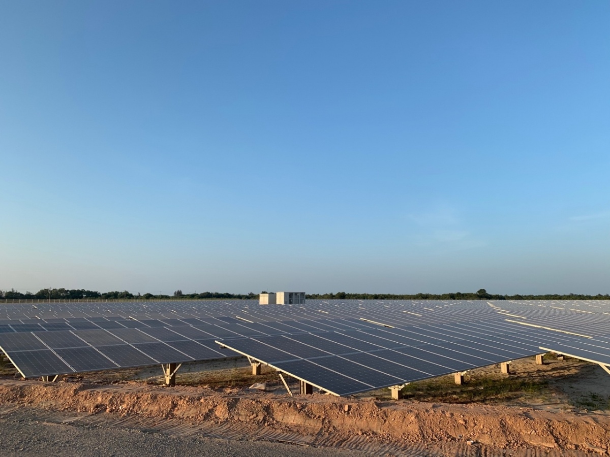 licogi bi phat anh 1