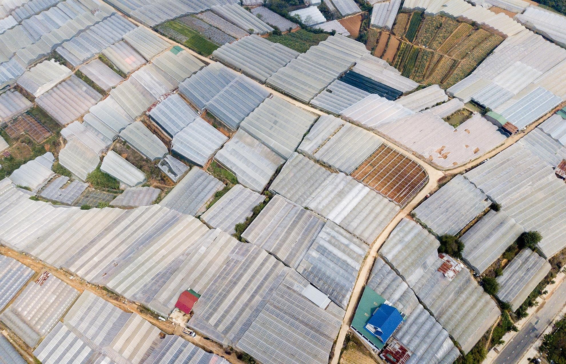 Vung noi o Da Lat du kien khong con nha kinh tu nam 2030 hinh anh