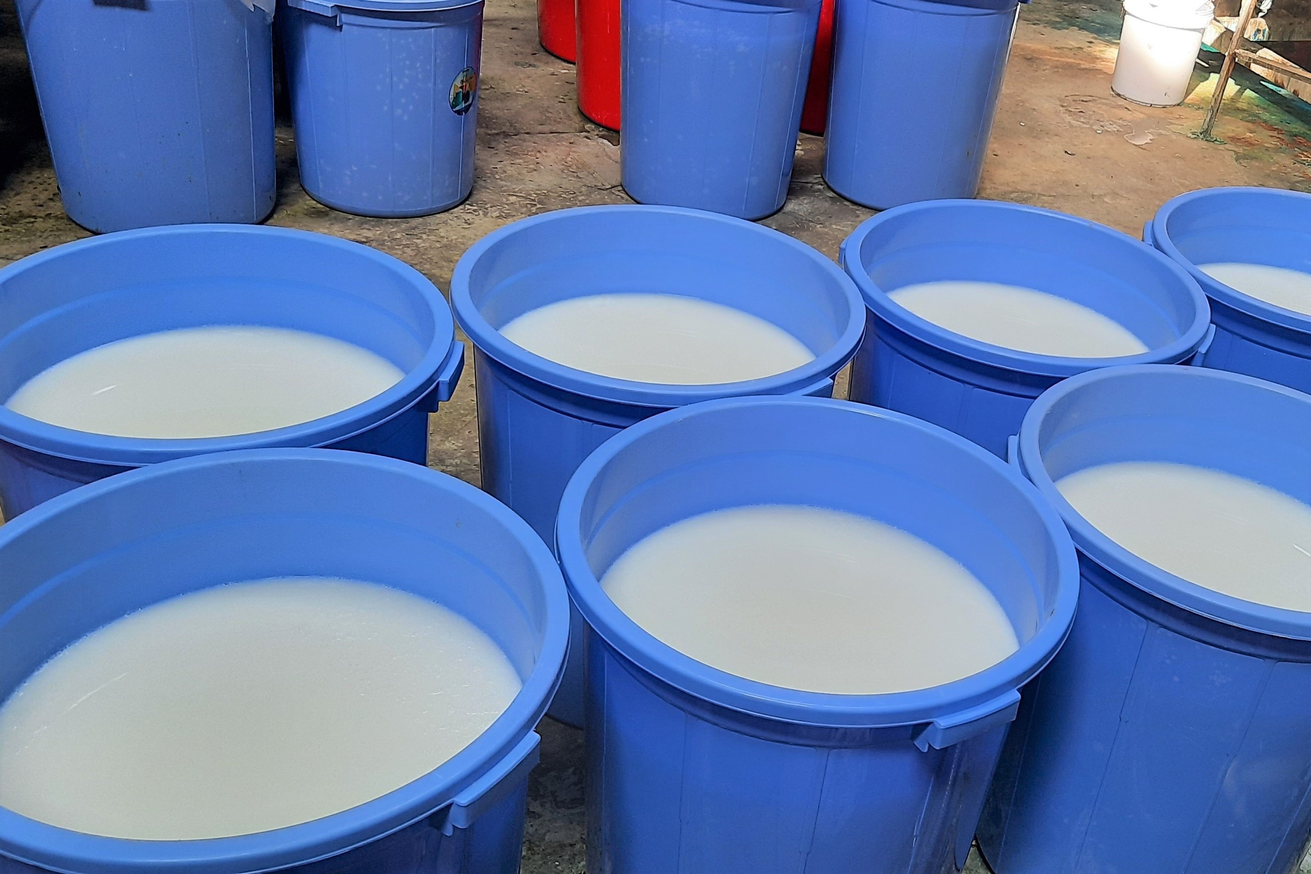 San xuat dau goi X-men, Romano, Clear, Pantene gia bang xo chau hinh anh