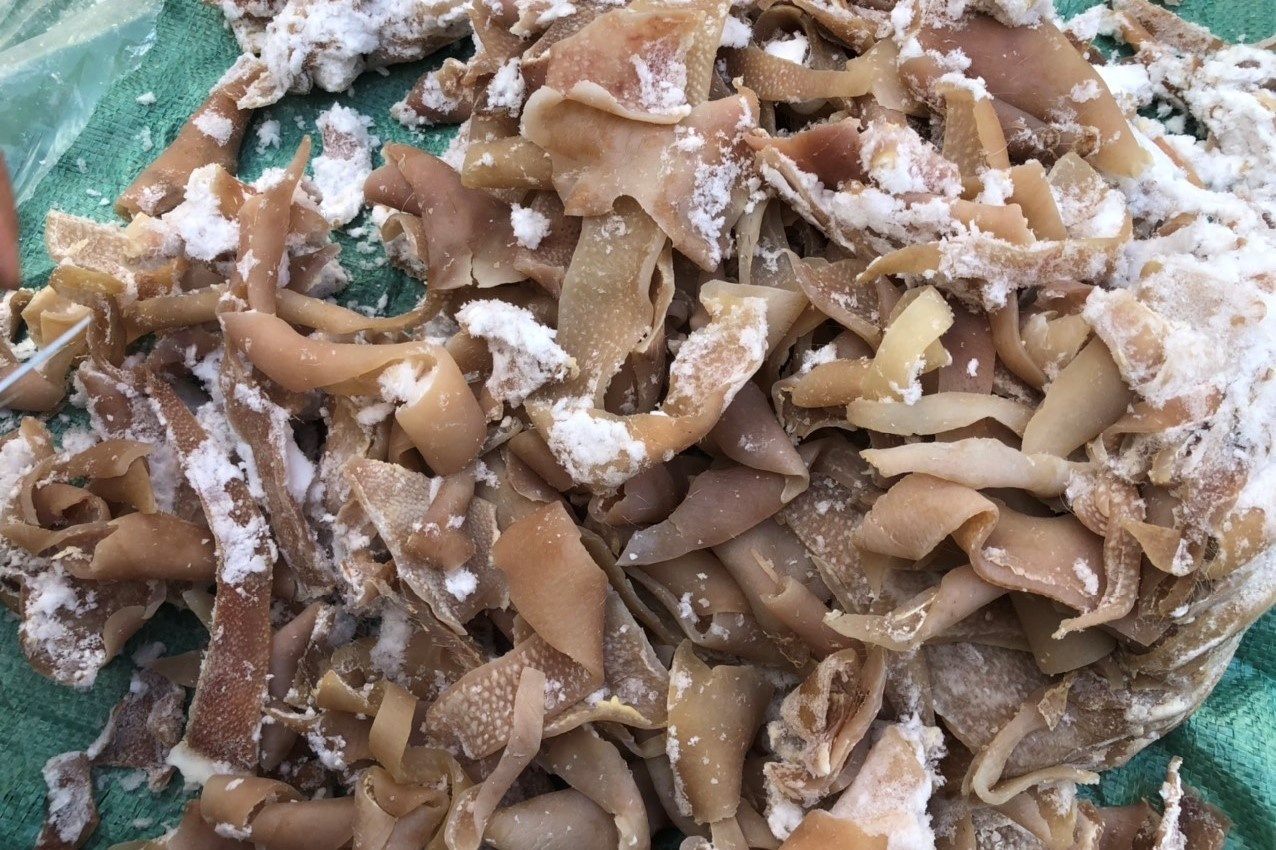 Thu giu 1,4 tan bi lon oi thiu tuon vao Thanh Hoa hinh anh